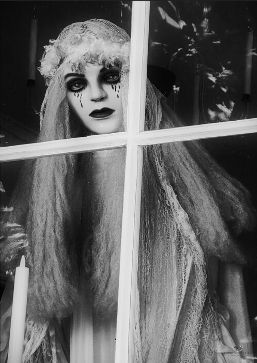 "White Ghost at the Window" Marilyn Saks-McMillion Photography 7" x 5"  
2022 $175