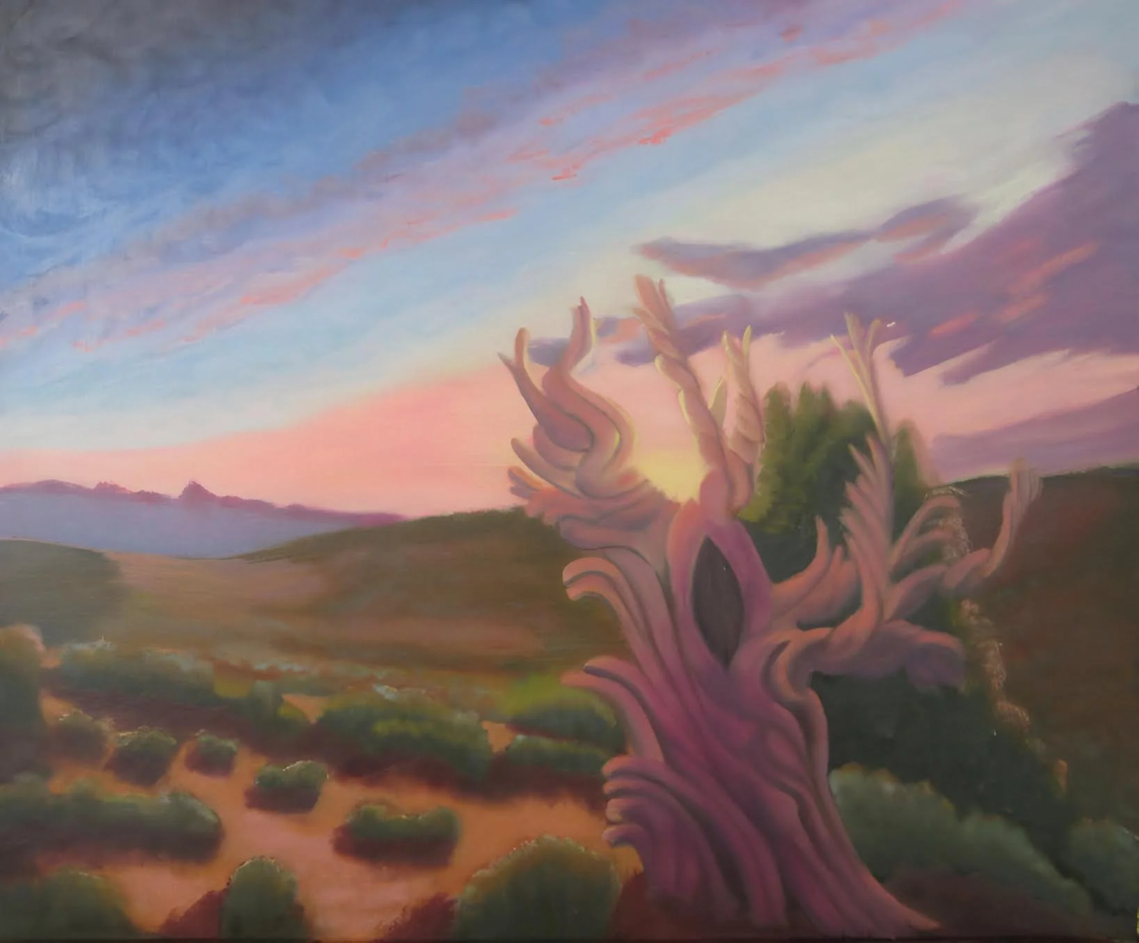 "RMNP Bristlecone Twilight" Roger Carver Oil on Canvas 20" x 24" 2025 
$960 