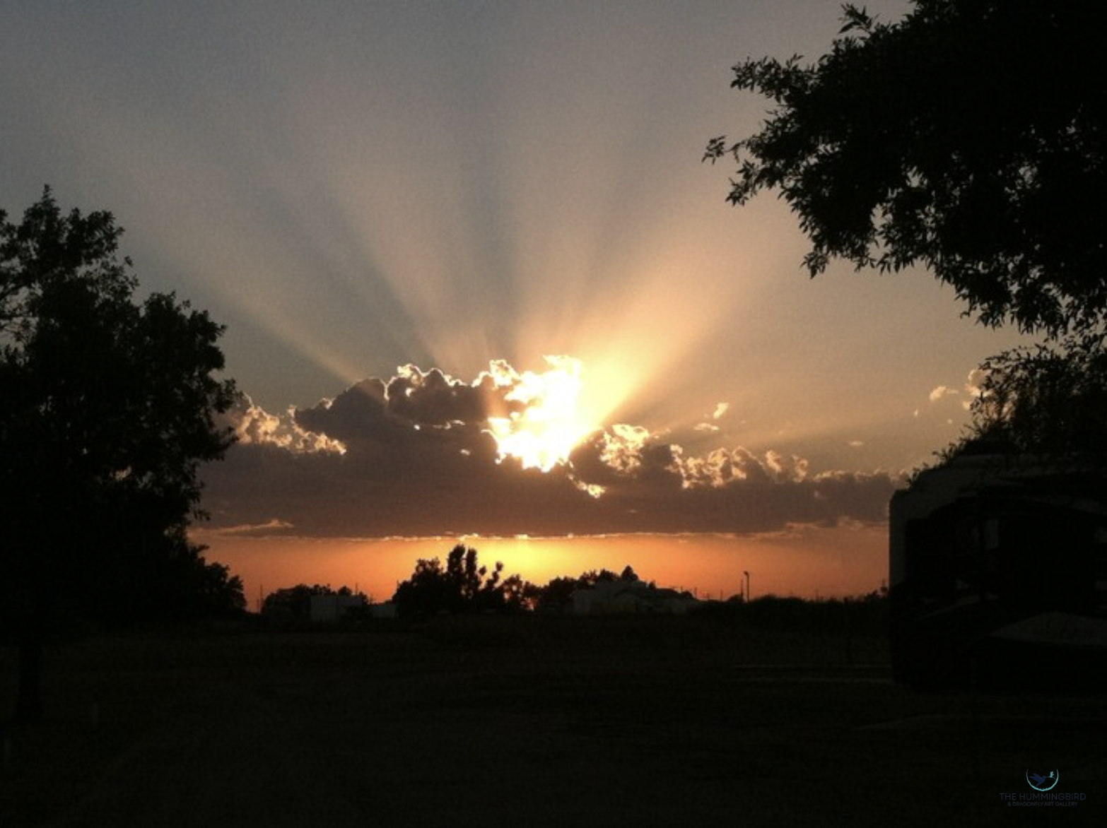 "Tranquility" Diane Bligh Photography 4" x 6" 
2016 NFS 