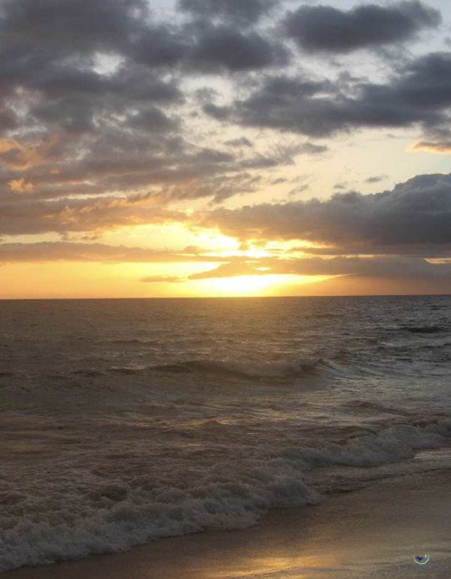 "Sunset Waves" Rita Pono Limited Edition Photography Print; Signed and Numbered by Artist 
20" x 16" 
2020 
$400 
