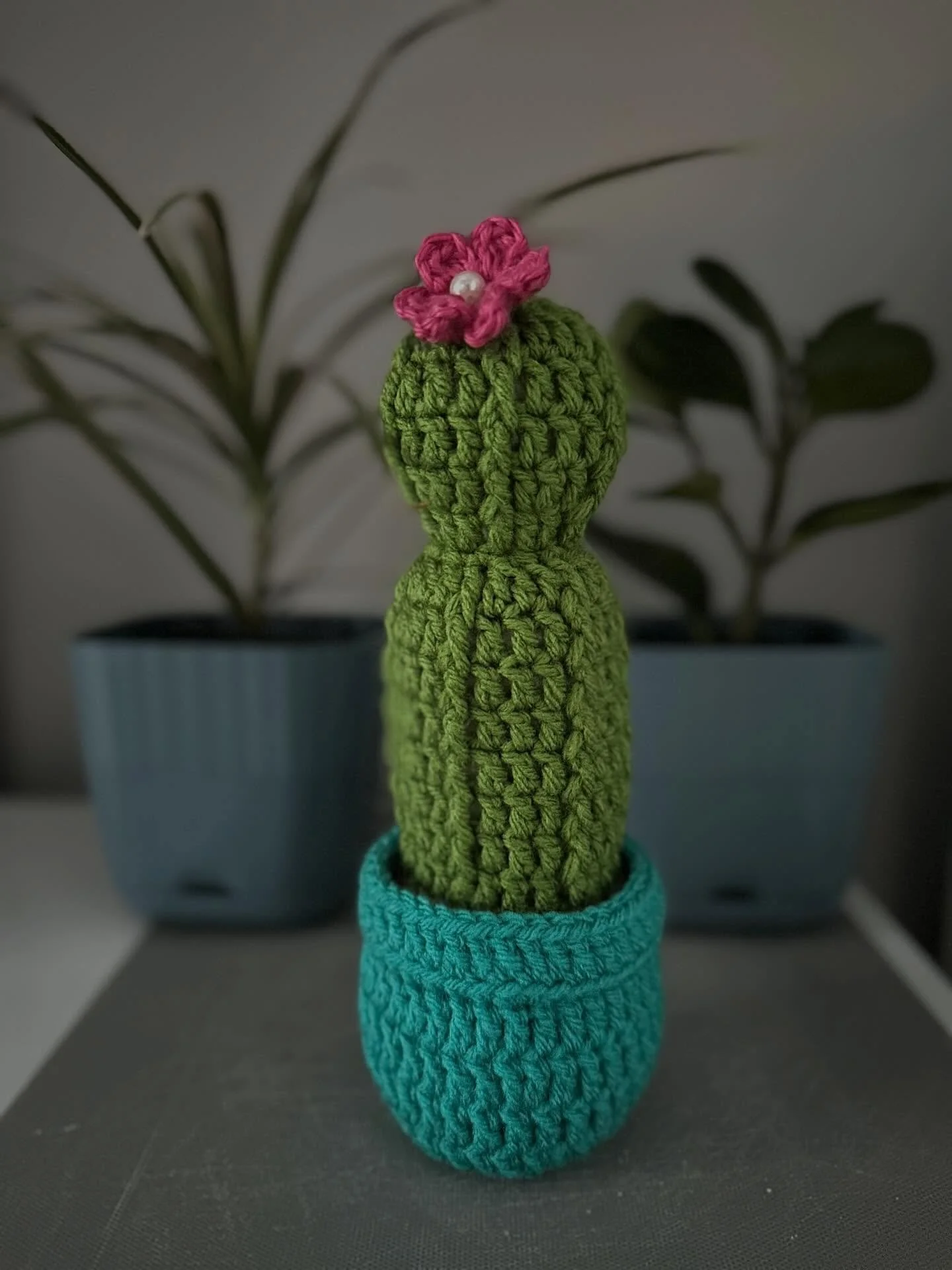 Mini moon potted cactus 🌵 🌺 pattern from @wecrochetofficial by Chrissy Callahan

#crochet #amigurumi