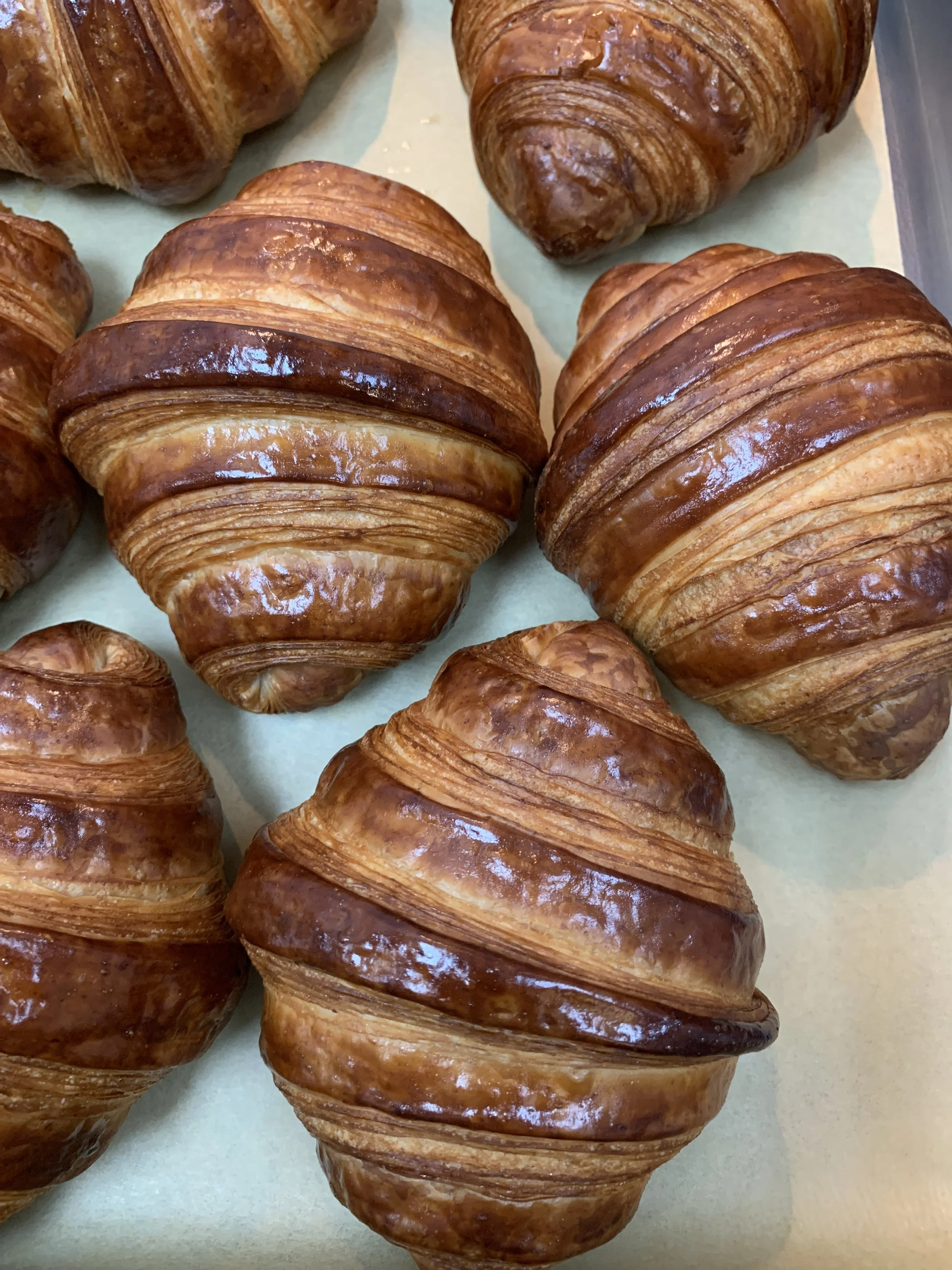Variety Mini Croissant Box