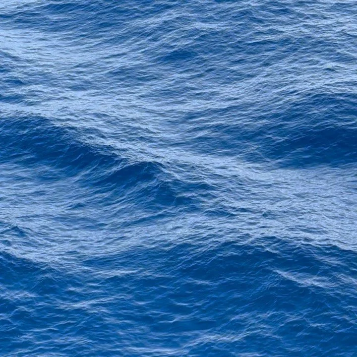 things I loved from la retraite en Corse 
(derni&egrave;re photo, obvio, c&rsquo;est cadeau)

- la M&eacute;diterran&eacute;e 💦
- voir les &eacute;l&egrave;ves appr&eacute;cier &ecirc;tre des🦋👑
- un coussin du Br&eacute;sil 🇧🇷 
- toute l&rsquo;&