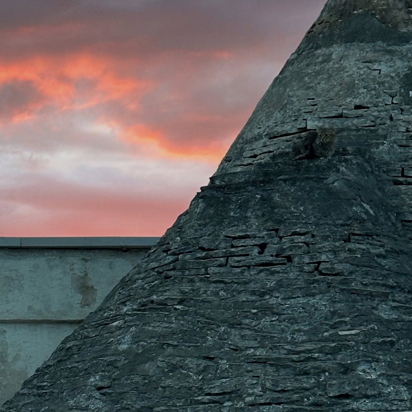 MAY&rsquo;rveilleux 💕 super jeu de mot et grande ponctualit&eacute; pour le dump de mai ✌🏽

1 - can you spot the 🐈&zwj;⬛ ? 
2 - learning from the best @krista_cahill_yoga 
3 - cascade de beaut&eacute;s 🌸🌸🌸 
4 - toujours plus flexer sur les main