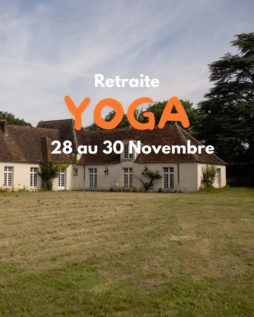 🍂 week-end d&rsquo;automne ressour&ccedil;ant, &agrave; base de longues pratiques de yoga, d&rsquo;un grand bol d&rsquo;air frais et de nature 🥣 🐿️ who&rsquo;s in ?

infos &amp; inscription dans le lien en bio 🔗

En tr&egrave;s r&eacute;sum&eacut