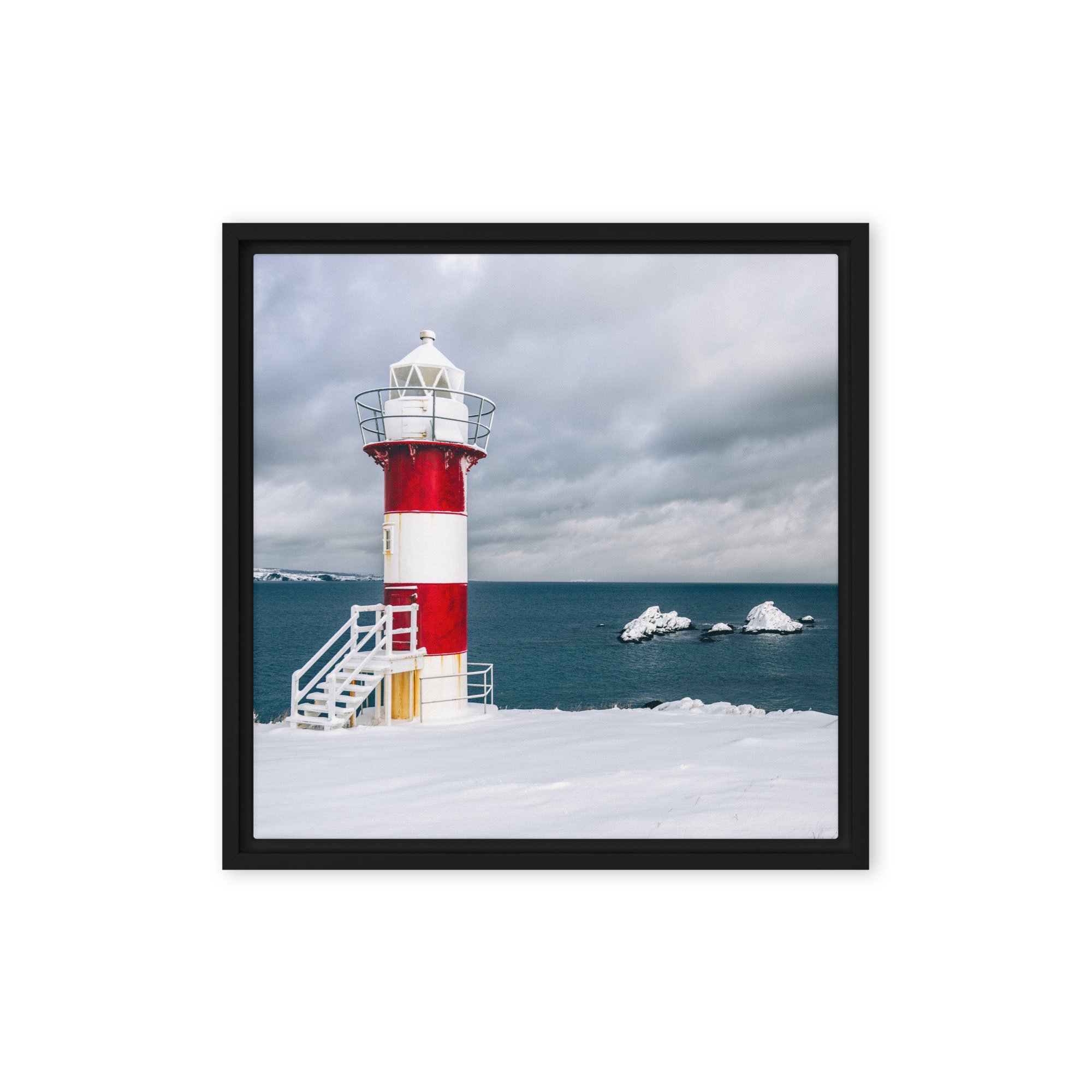 framed-canvas-(in)-black-16x16-front-679d3d1131312.jpg