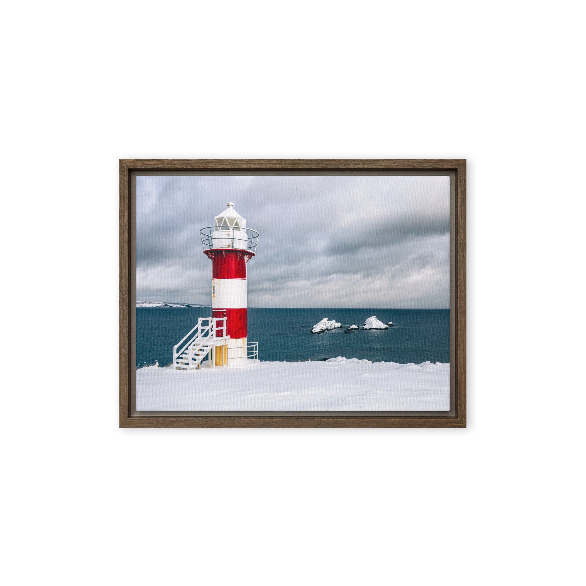 framed-canvas-(in)-brown-9x12-front-679d3d1131426.jpg