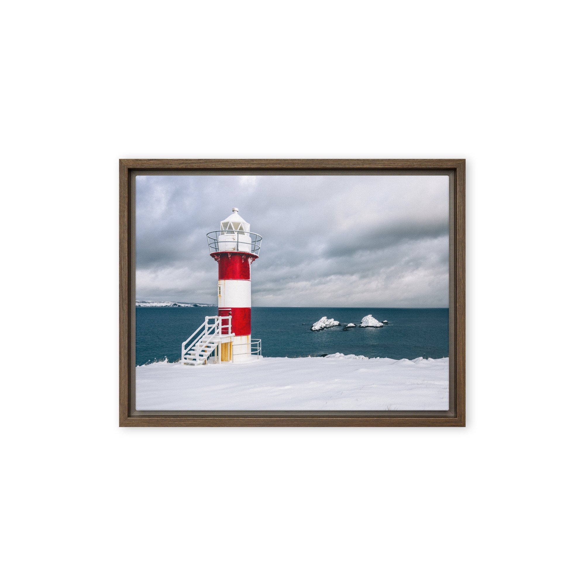 framed-canvas-(in)-brown-12x16-front-679d3d113153c.jpg