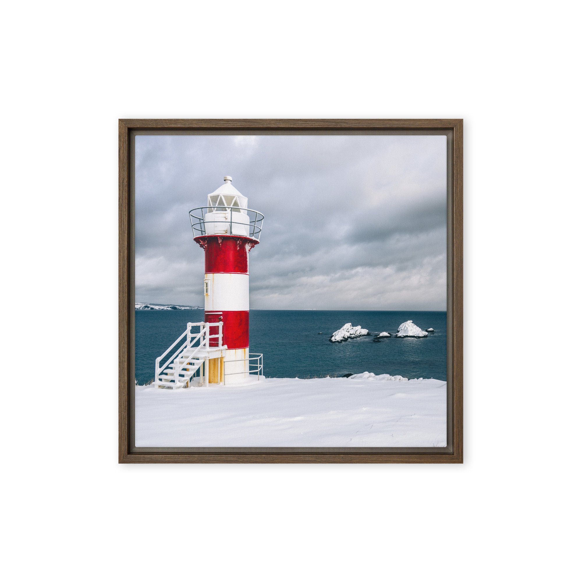 framed-canvas-(in)-brown-16x16-front-679d3d11315e8.jpg