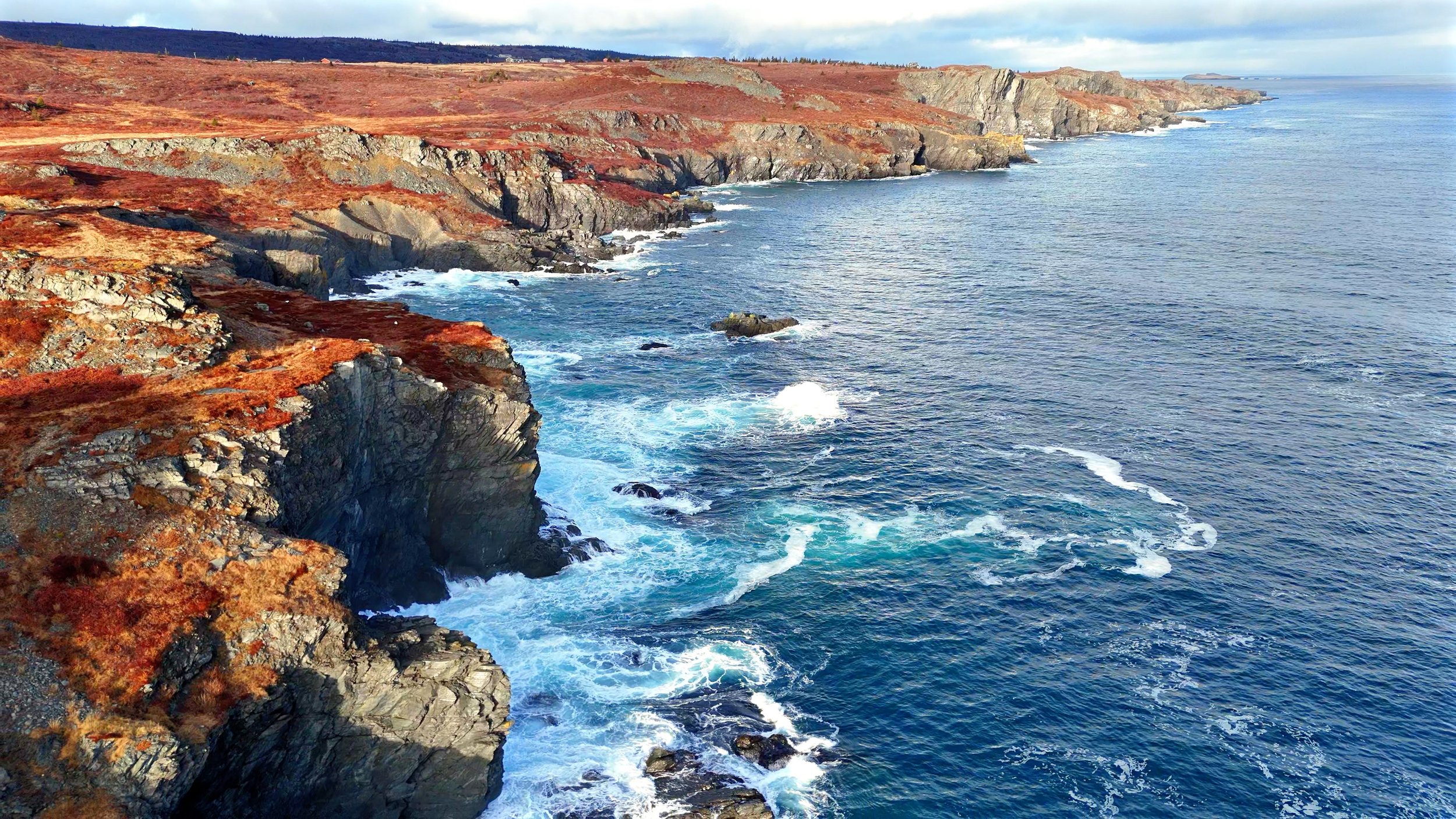 2025-01-07 - Upper Island Cove.jpg