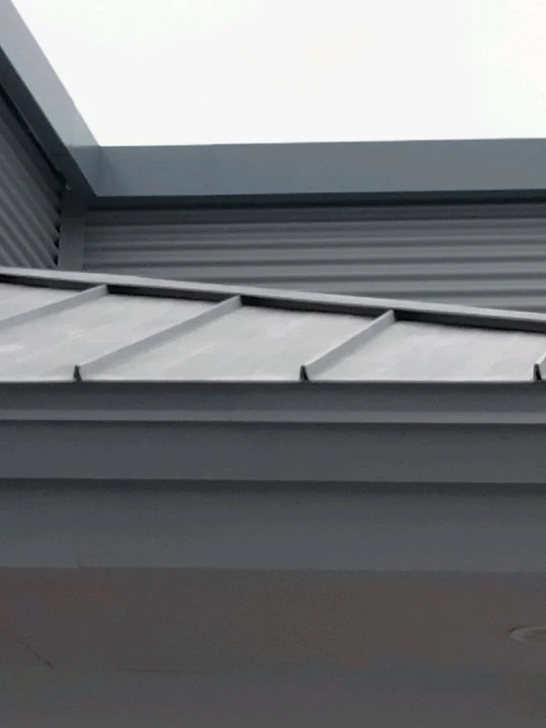 Standing seam IMG1.jpg