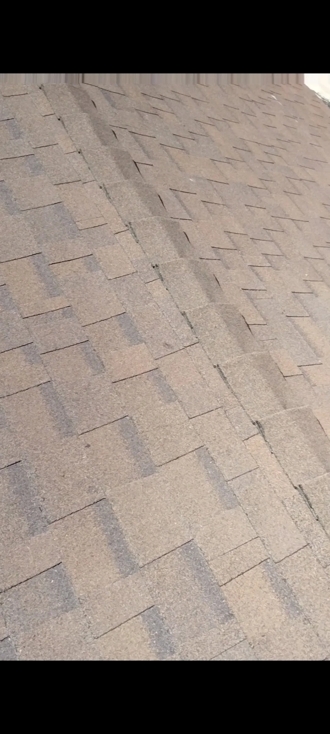 Asphalt shingle roof 1.jpg
