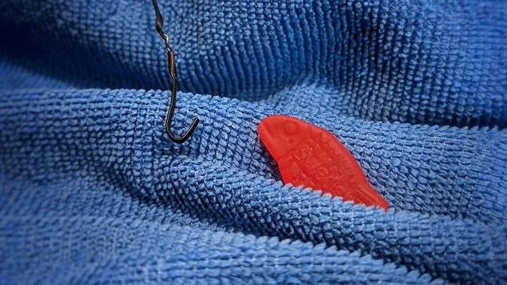 Creative Smartphone Photography: Fish