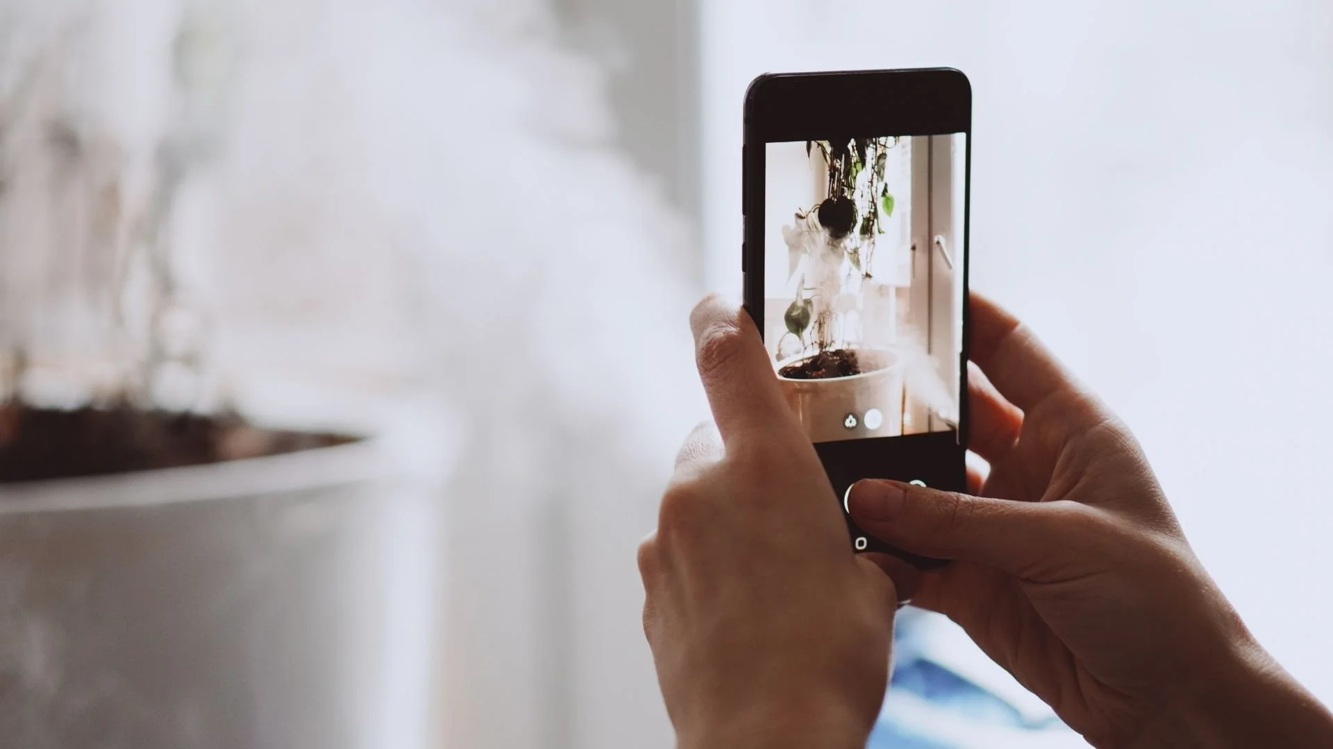 Remote team member trying mobile photography technique with an iPhone