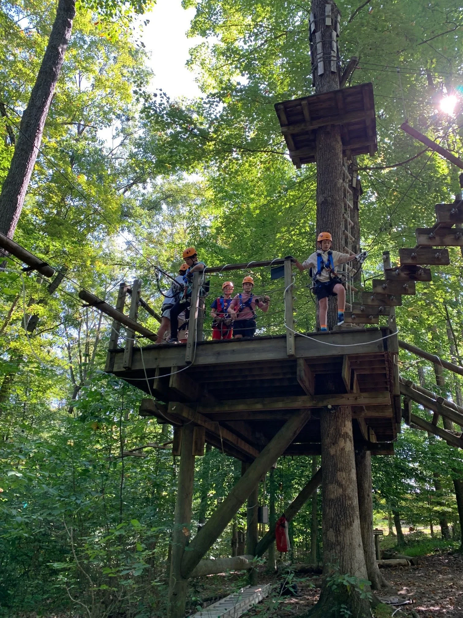 Children wearing helmets and harnesses on a rope course in a wooded area, climbing and navigating wooden platforms and bridges among tall trees.