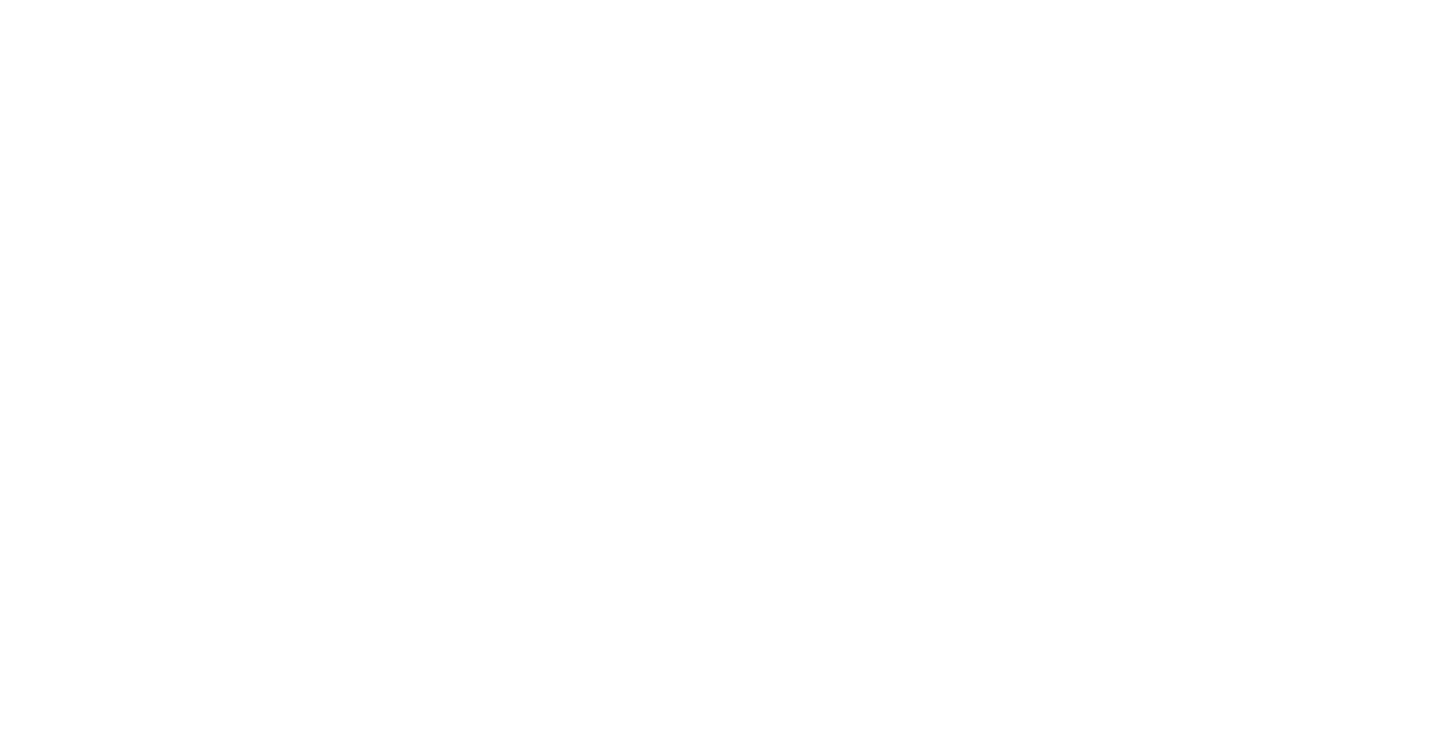 The Adventure Guild