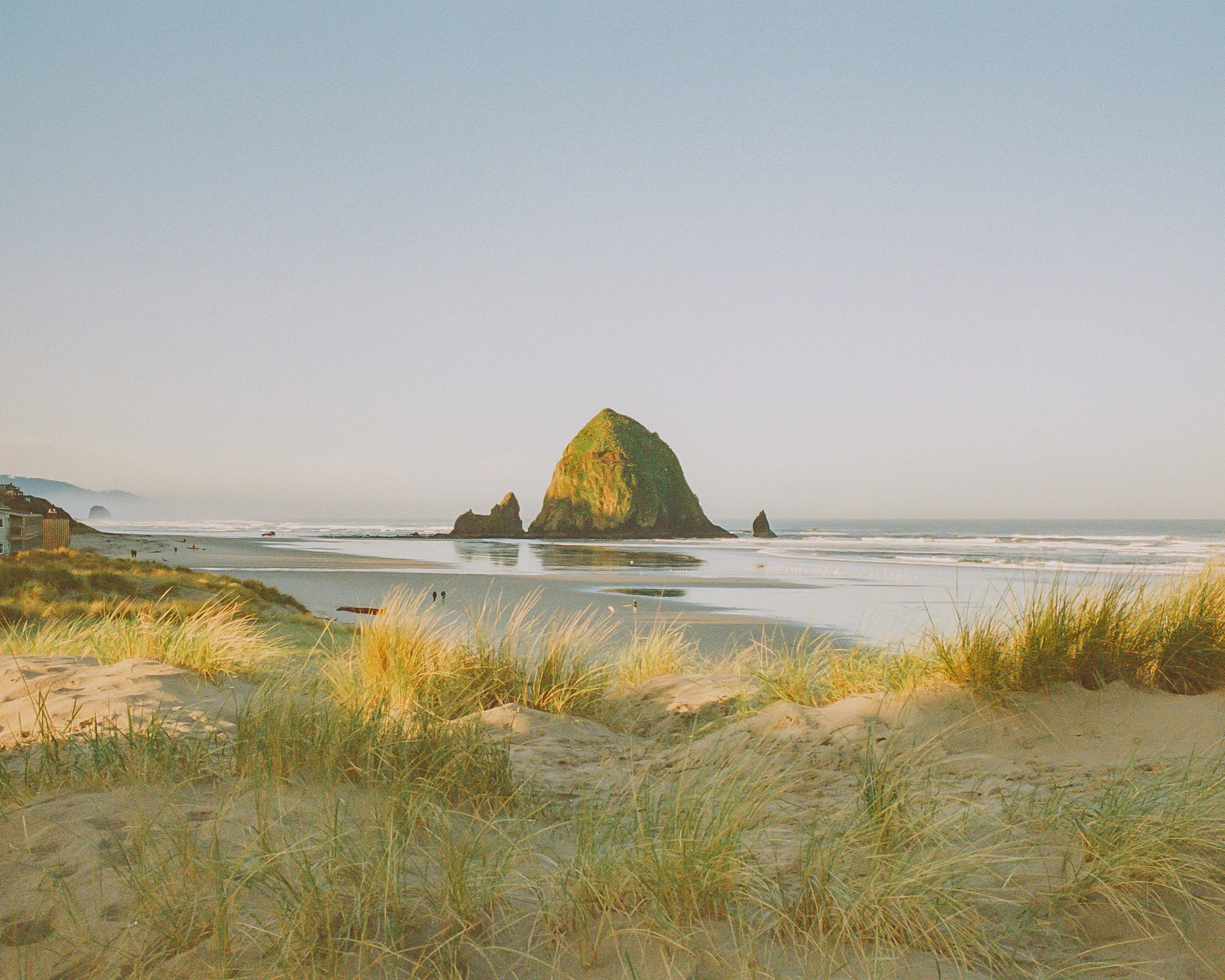 Golden Dunes at Cannon Beach