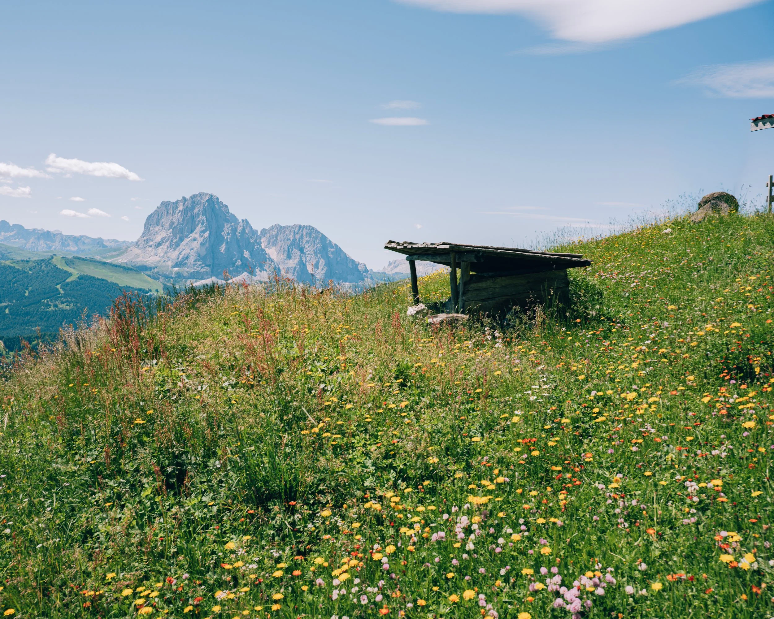 Alpine Solitude
