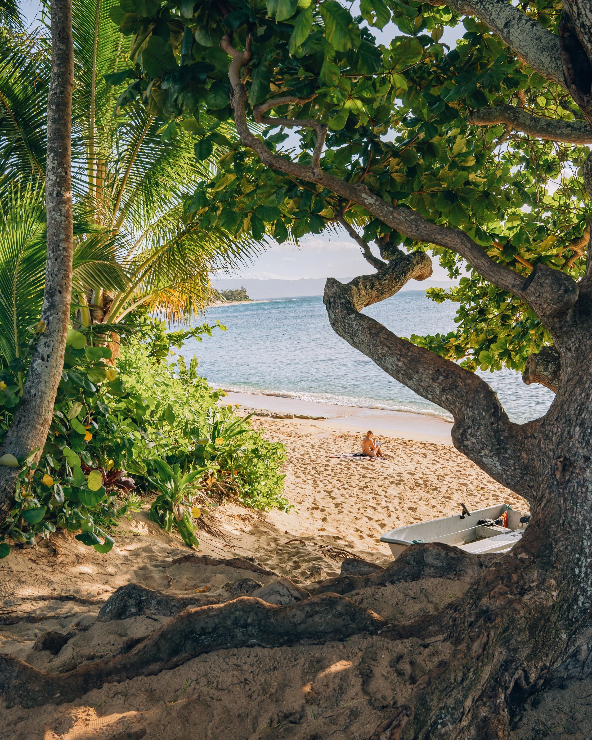 Postcard from Paradise