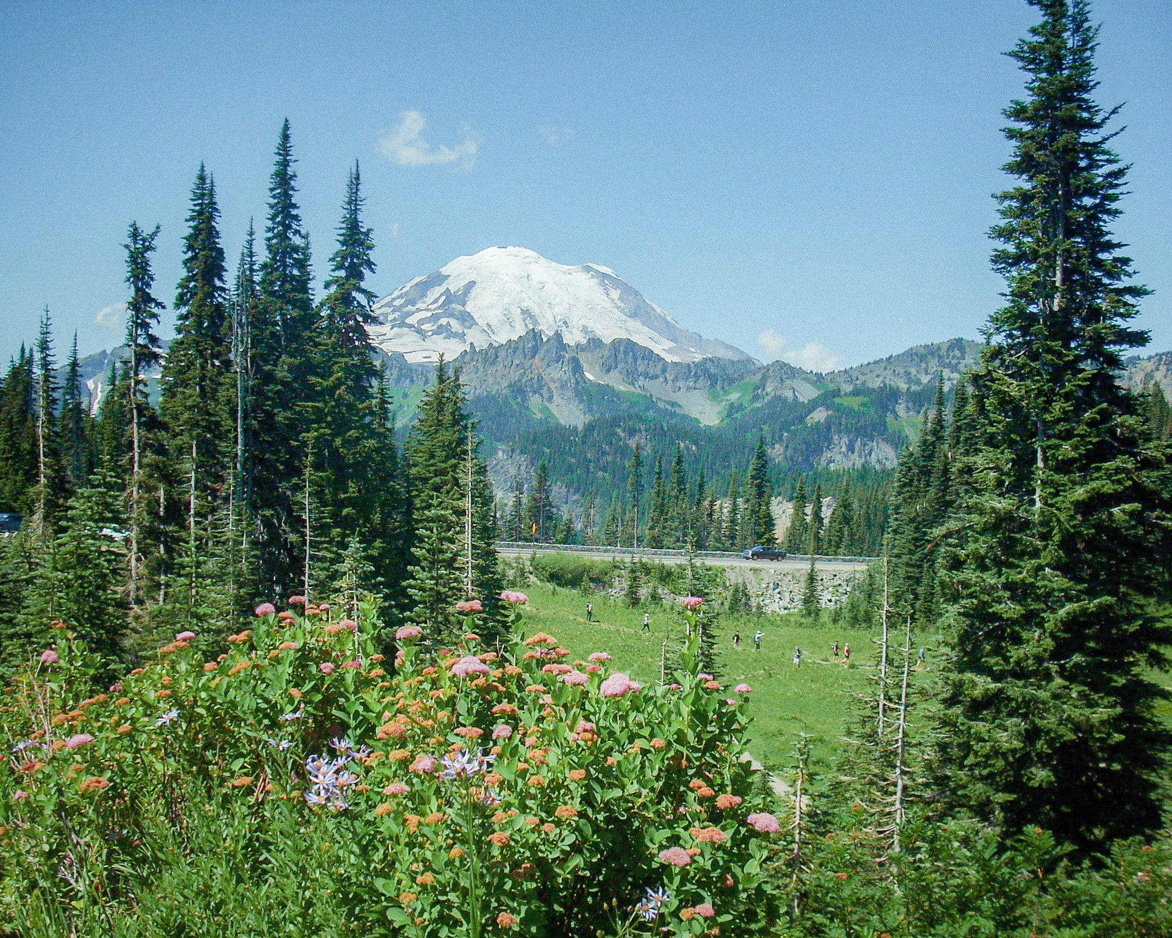 DSCN1969-2.jpg