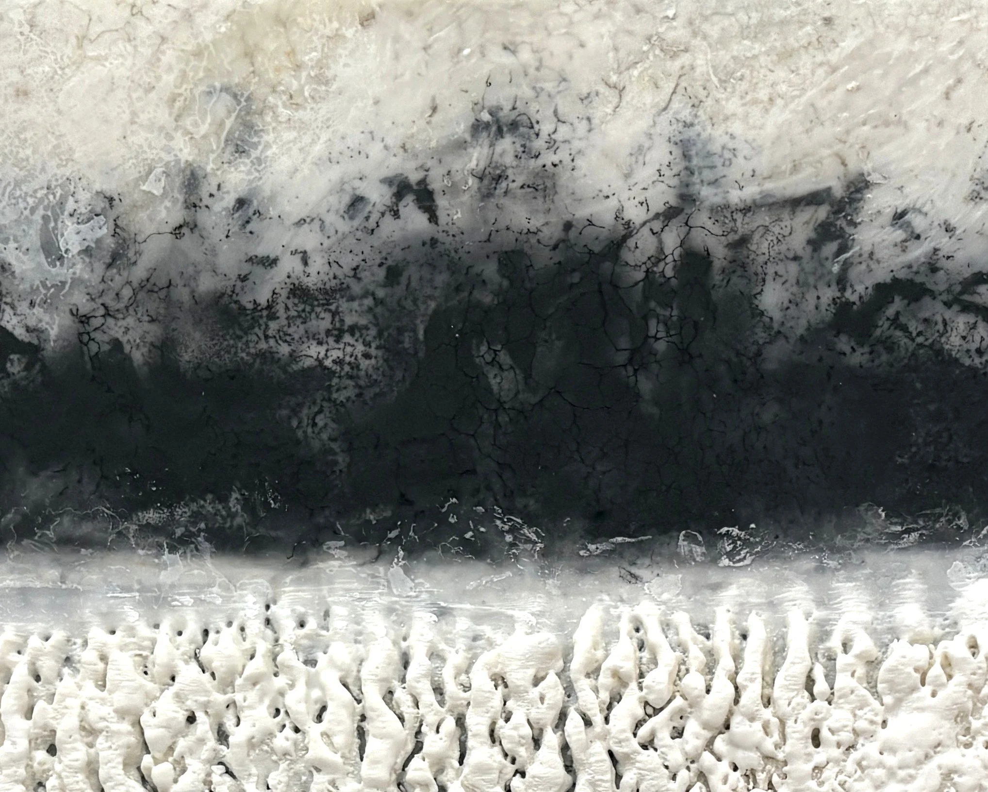 Detail After Wildfires.jpg