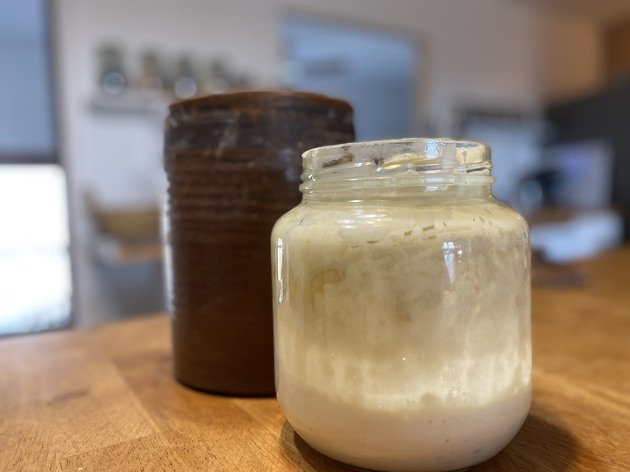 sourdough revived.jpeg