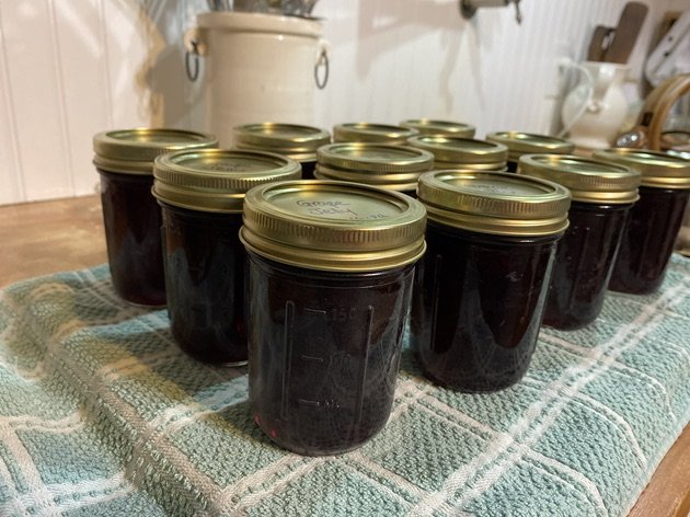 blueberry jam.jpeg