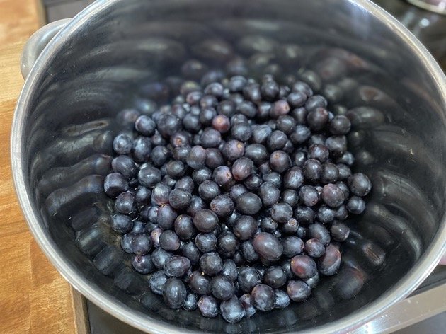 grapes.jpeg