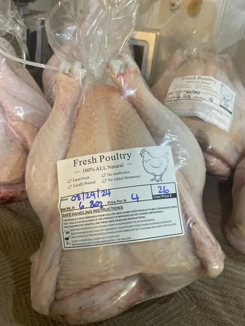 Cornish Cross Chickens: Pros, Cons & Raising Tips