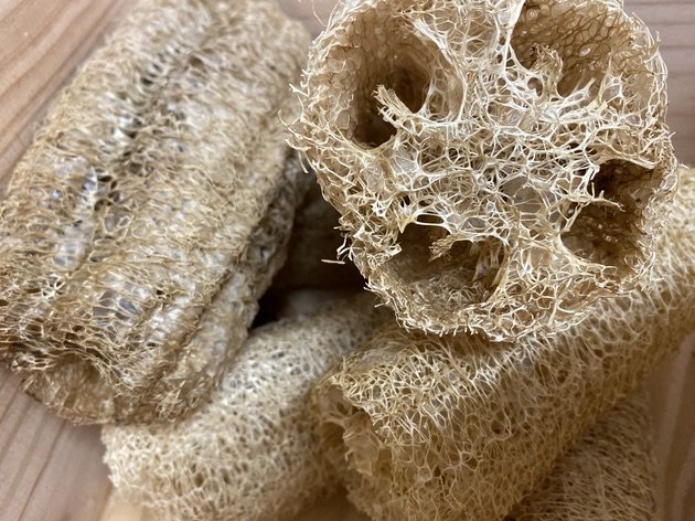 loofah scrub2.jpeg