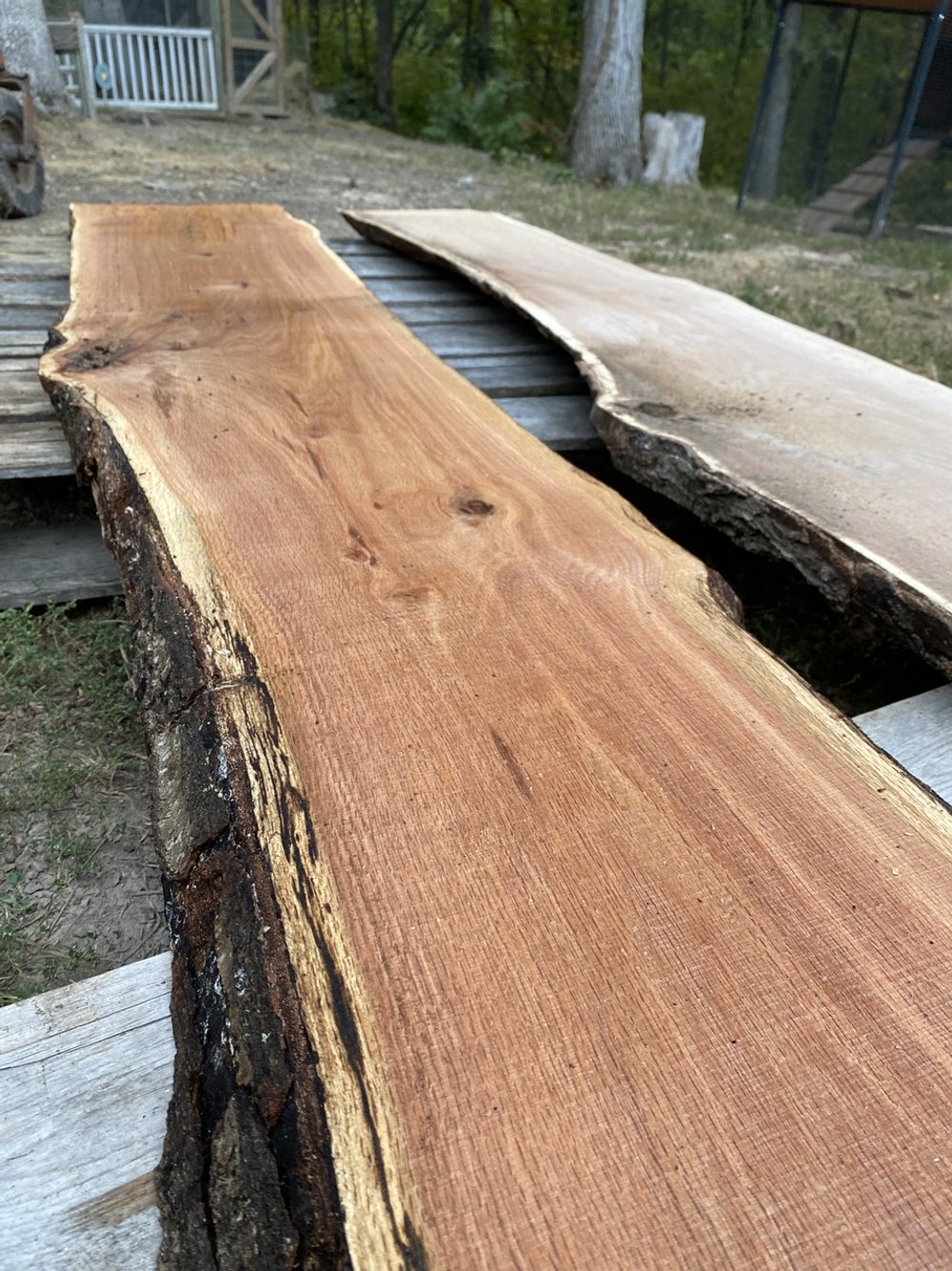 sawmill 5.jpeg