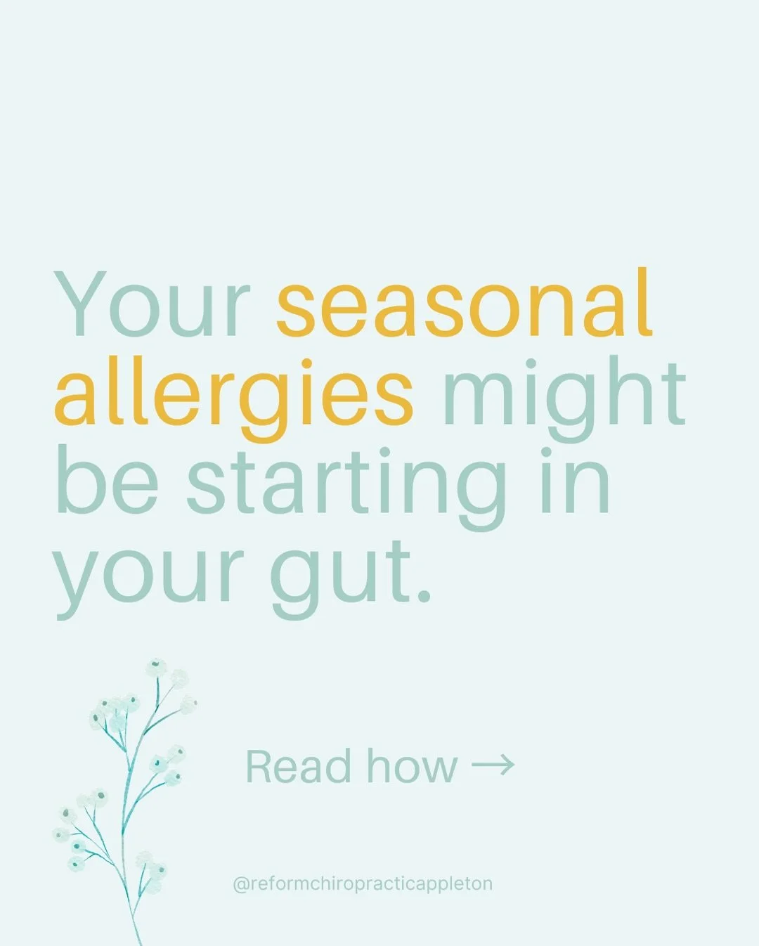 Finally! Flowers are blooming and things are turning green. We are getting a little taste of spring here in Appleton, Wisconsin🌸🌷 For some though, this also means the start of itchy eyes, sinus pressure, and nonstop sneezing. 

Did you know that th