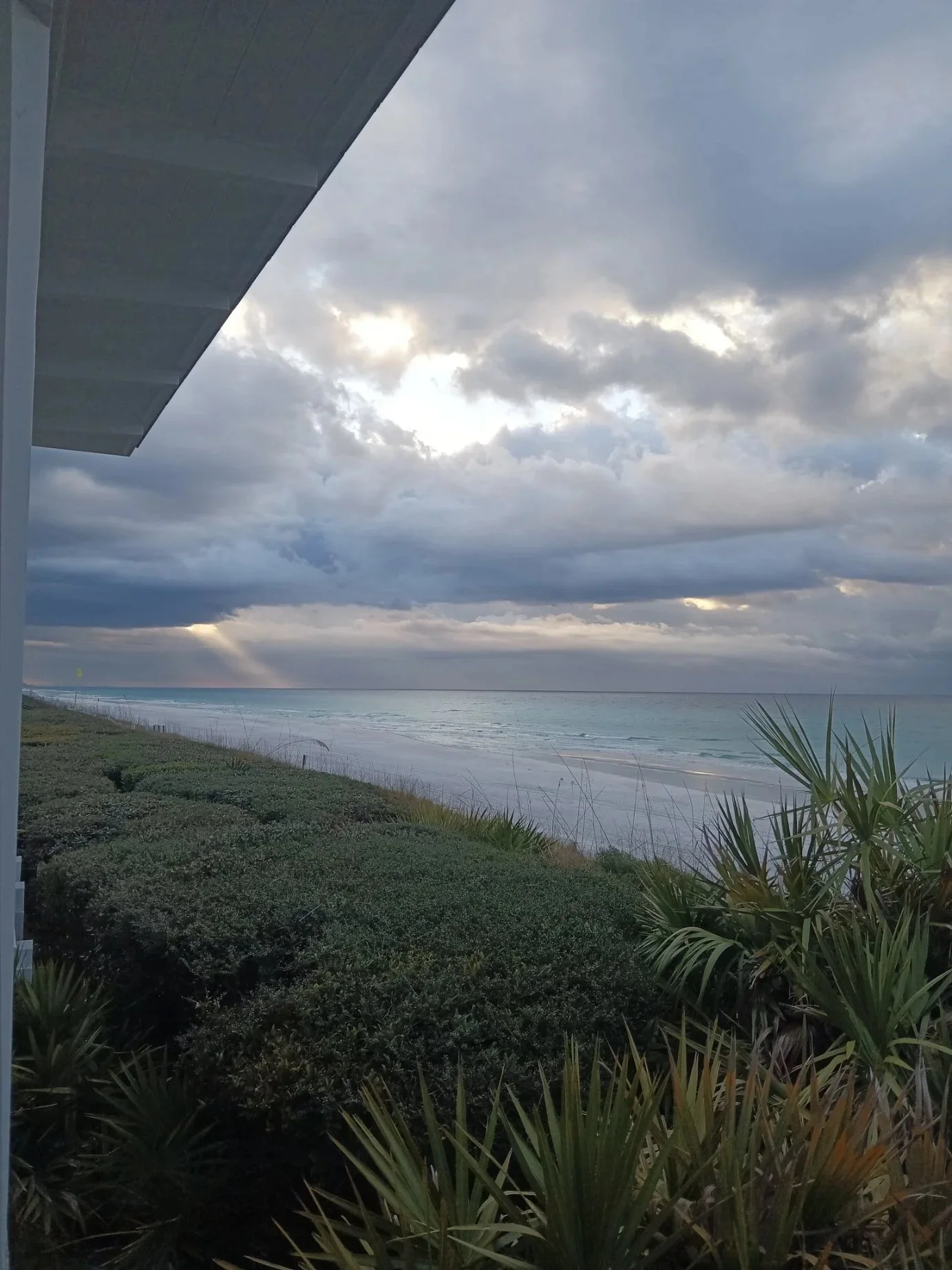 Morning views while drinking coffee. 