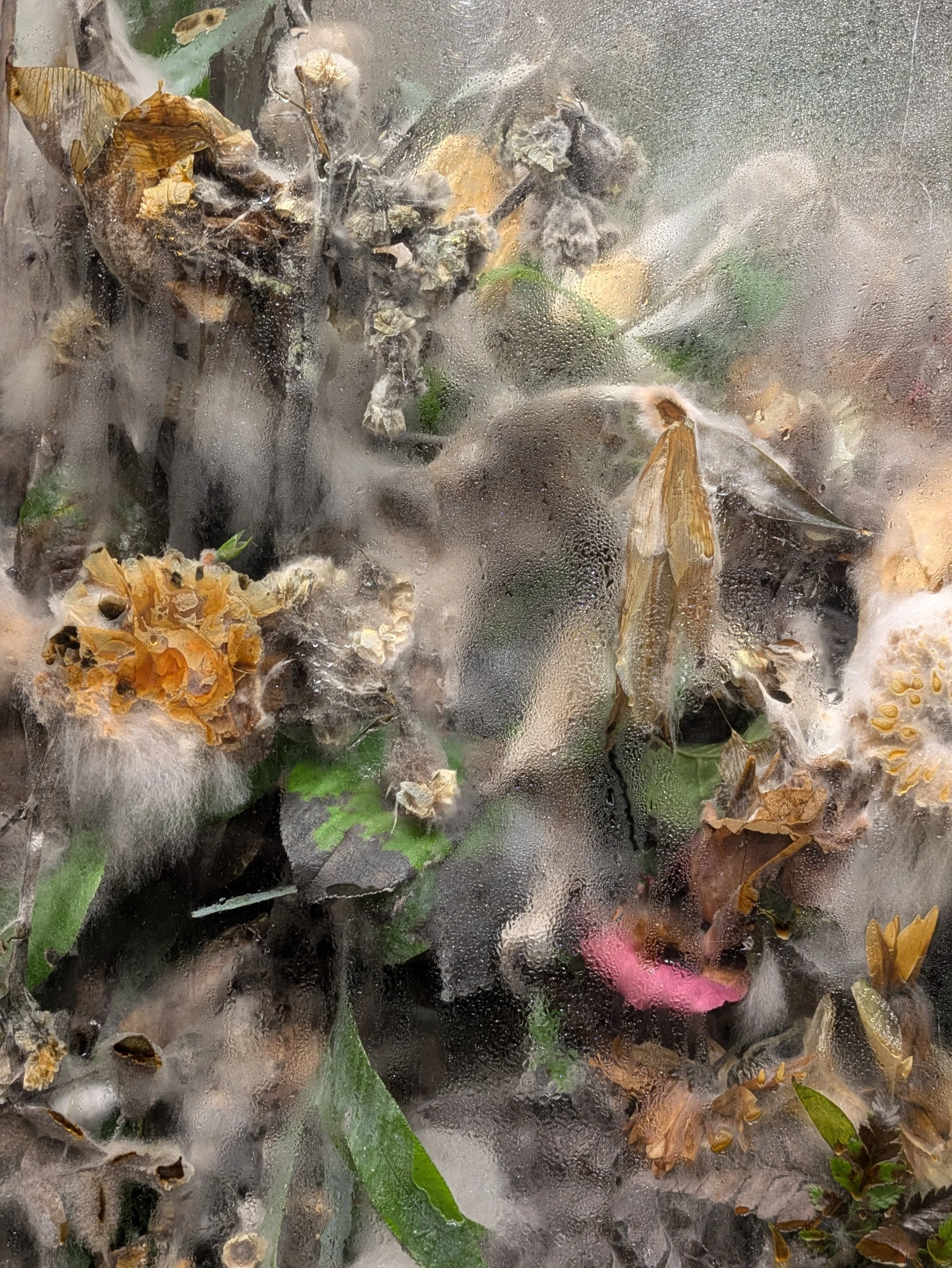 Reviewing “Beloved” at the Kiosk gallery