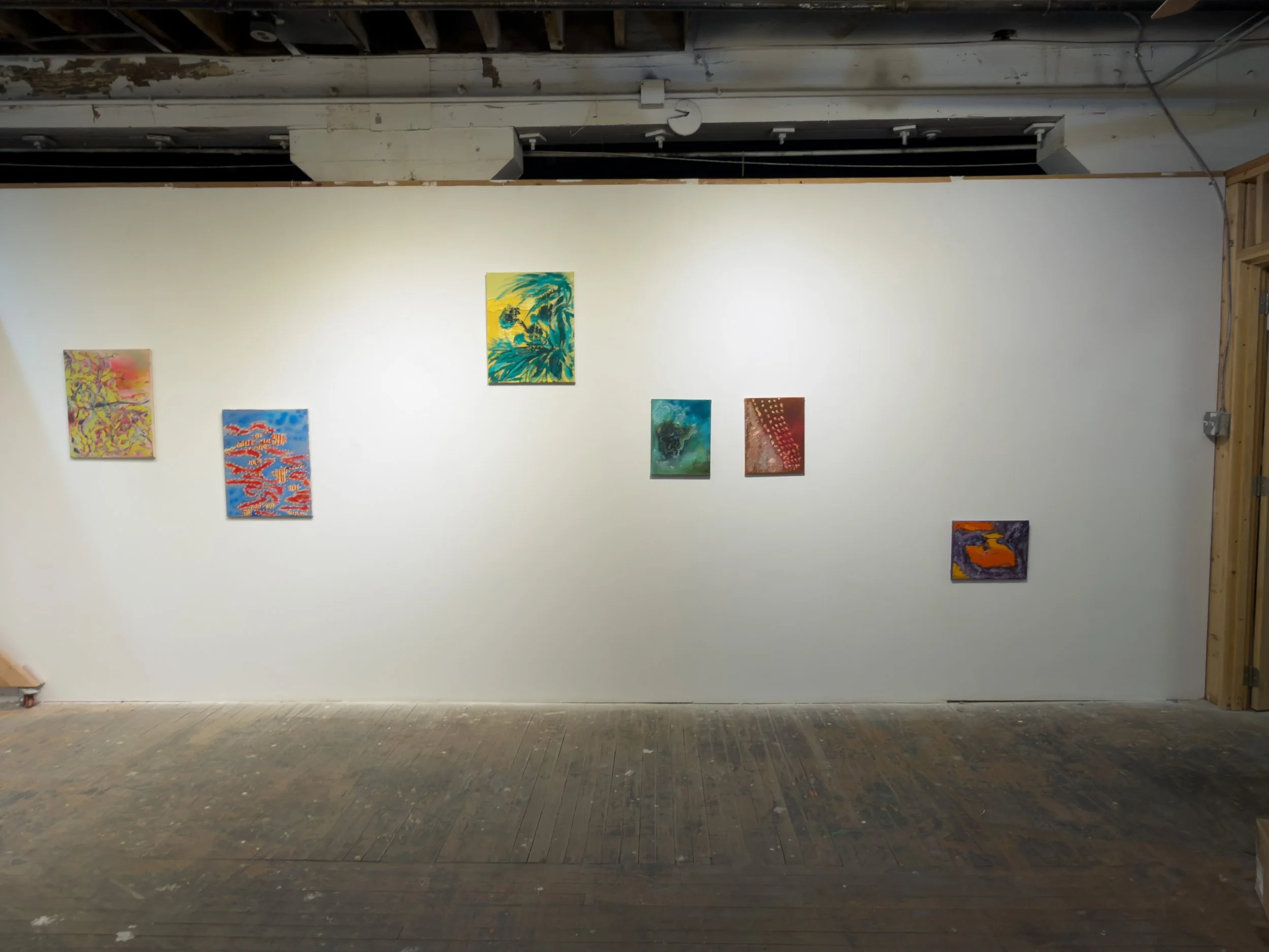 Jaede Bayala’s Solo Show at the Holsum Gallery
