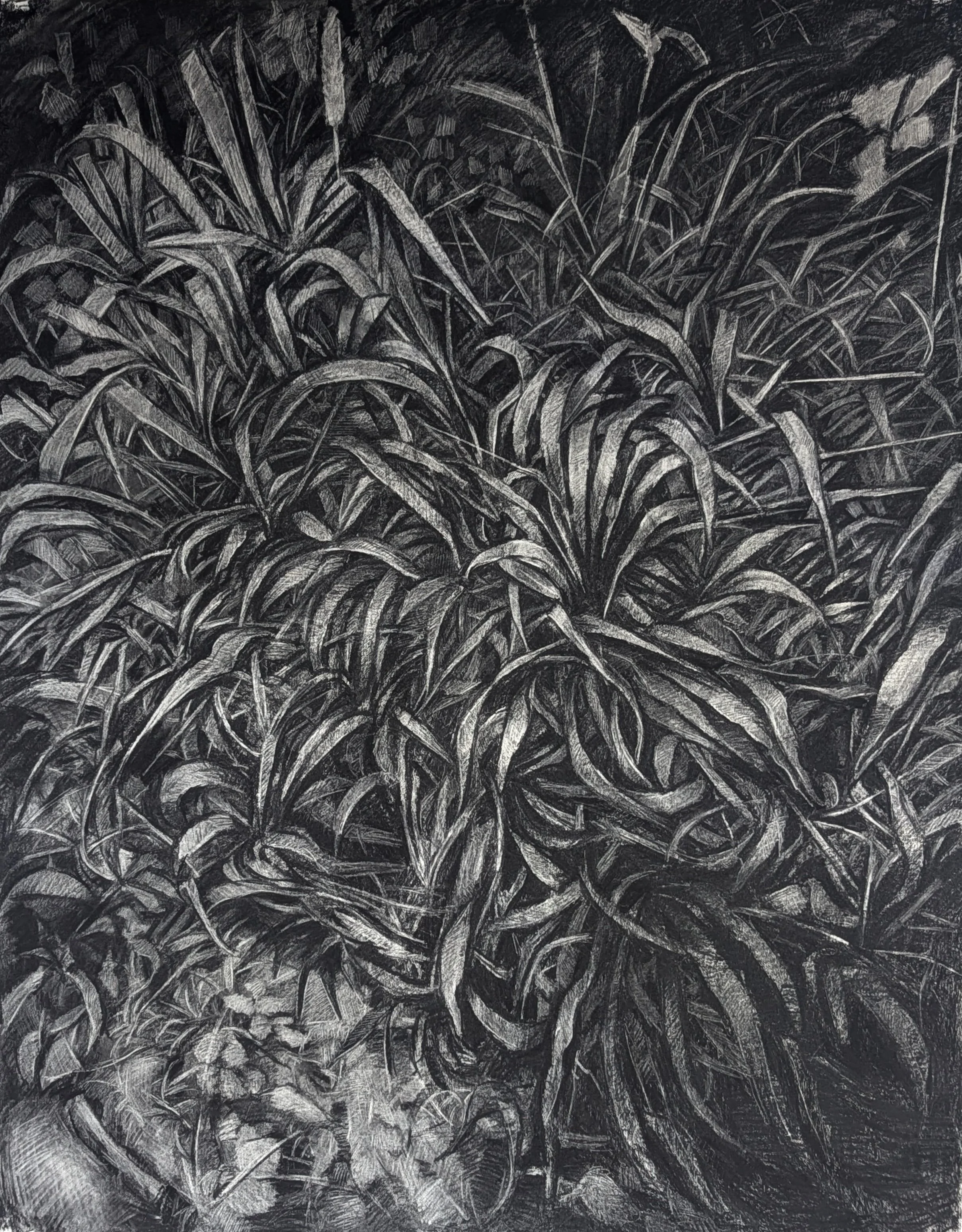 STUDIOS INC | 2026 - A Group Exhibition