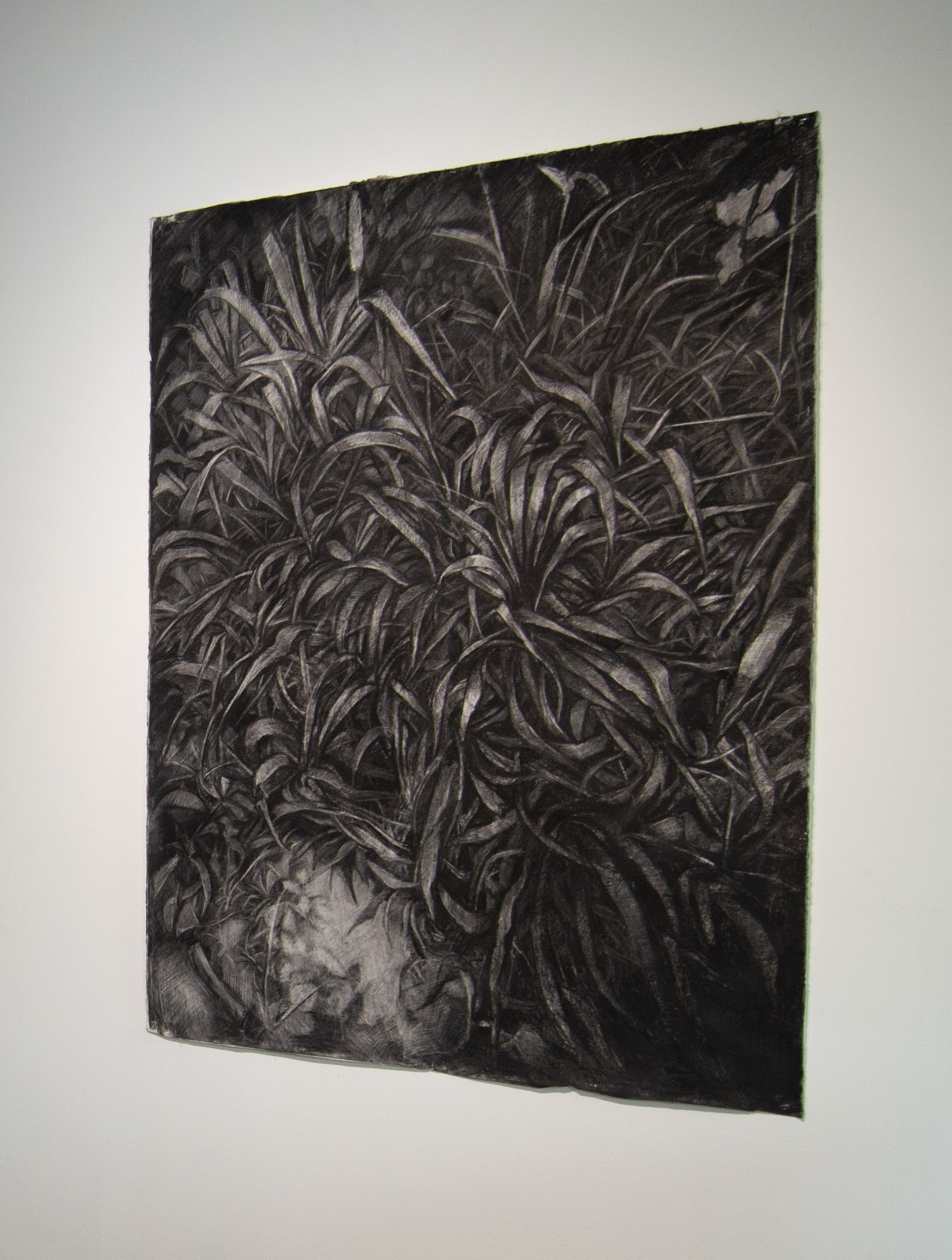 Melanie Johnson_Garden Overgrowth.png