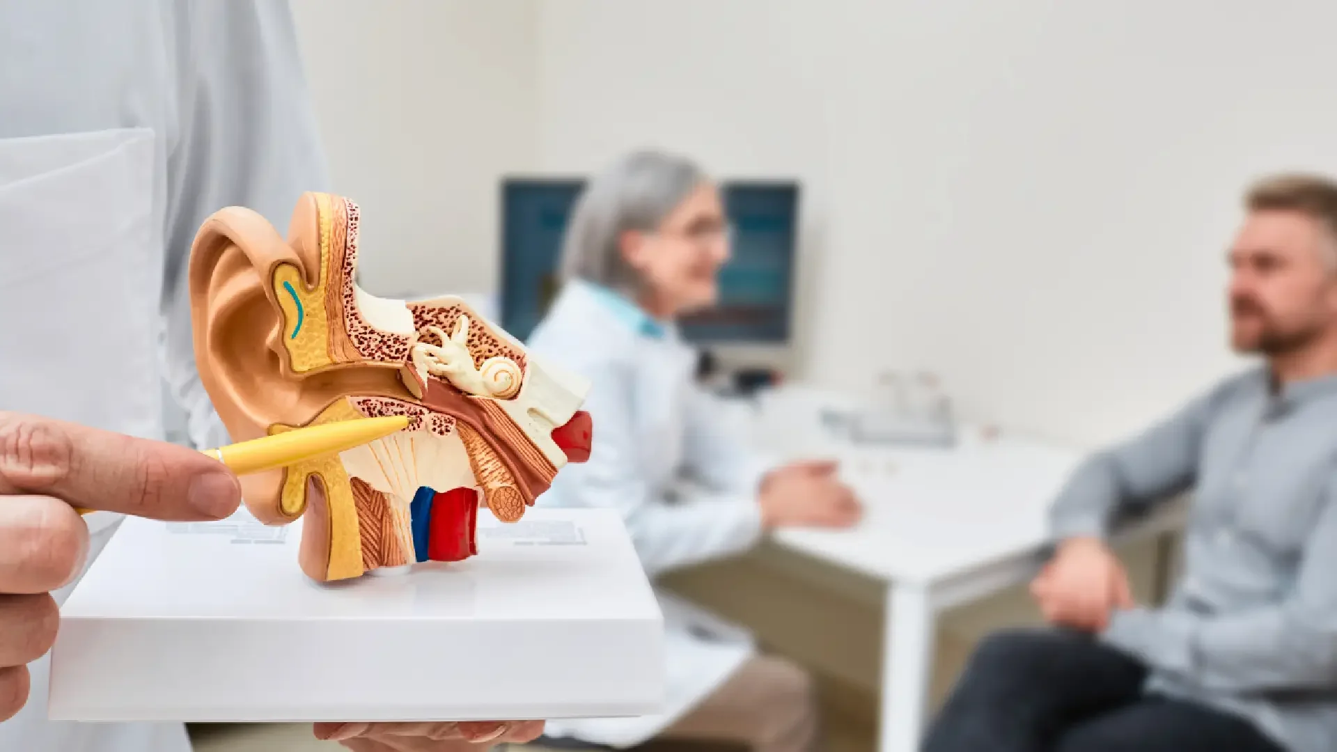 How the Ear Turns Sound into Meaning