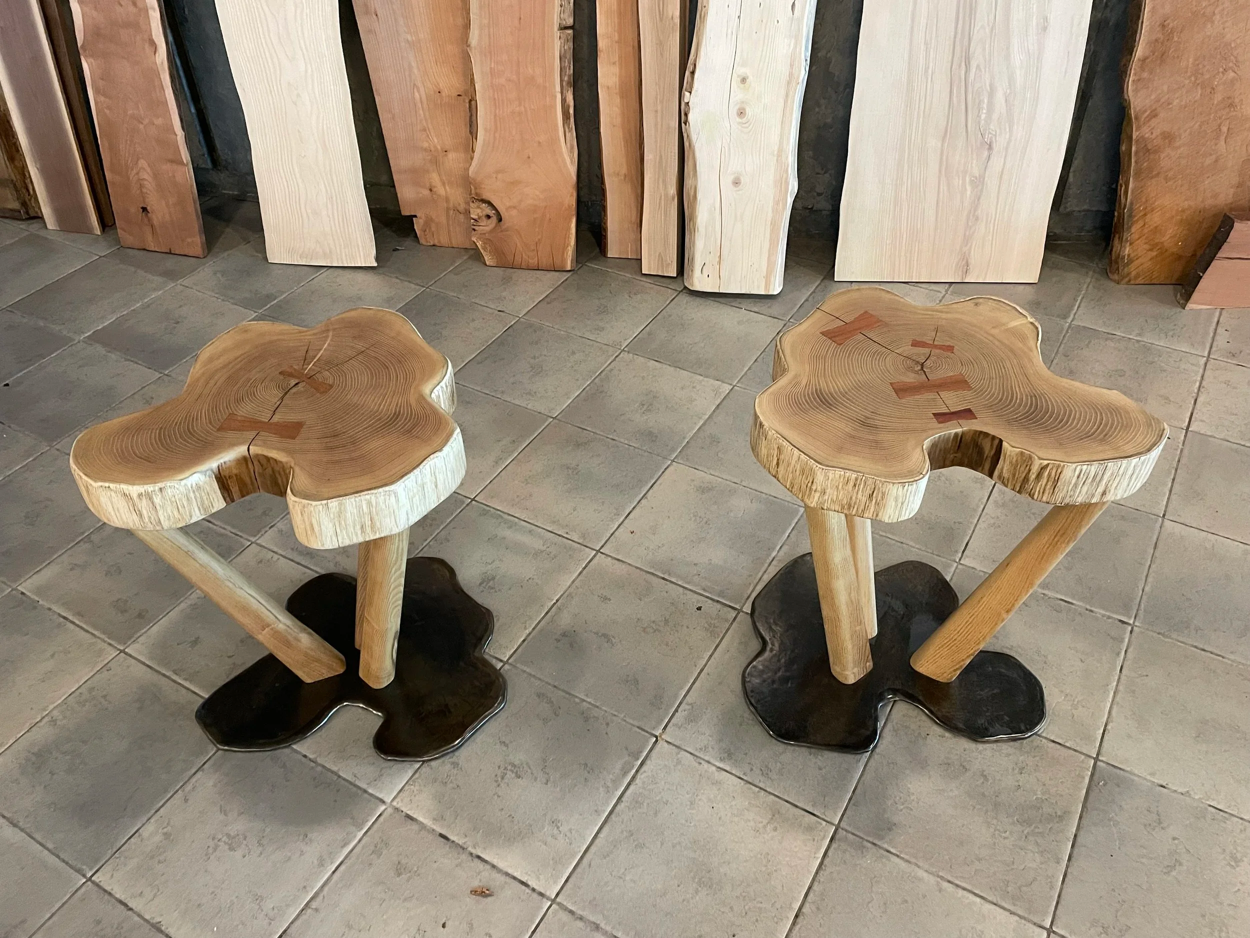 The "Honey Locust Twins" Project