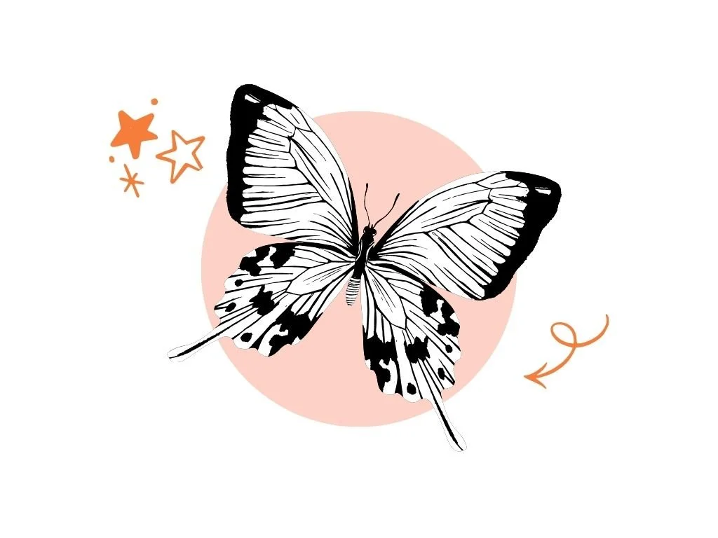 Butterfly Metamorphosis