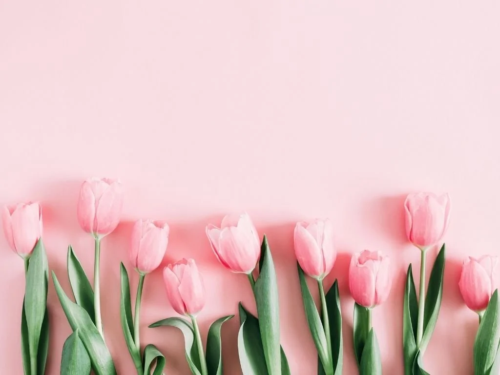 Little Sprouts, Big Dreams