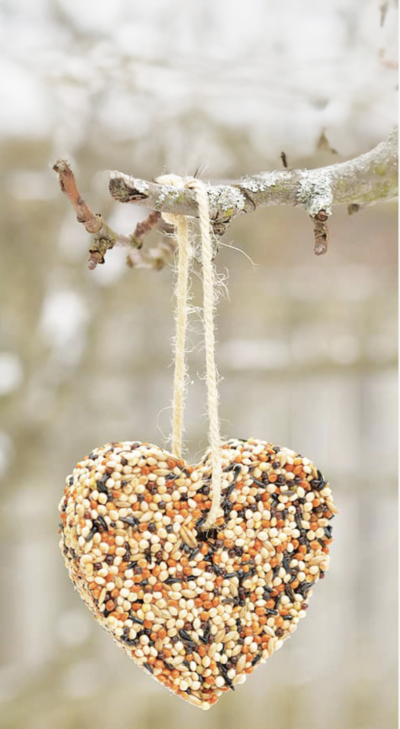 Birdseed ornament in the shape of a heart