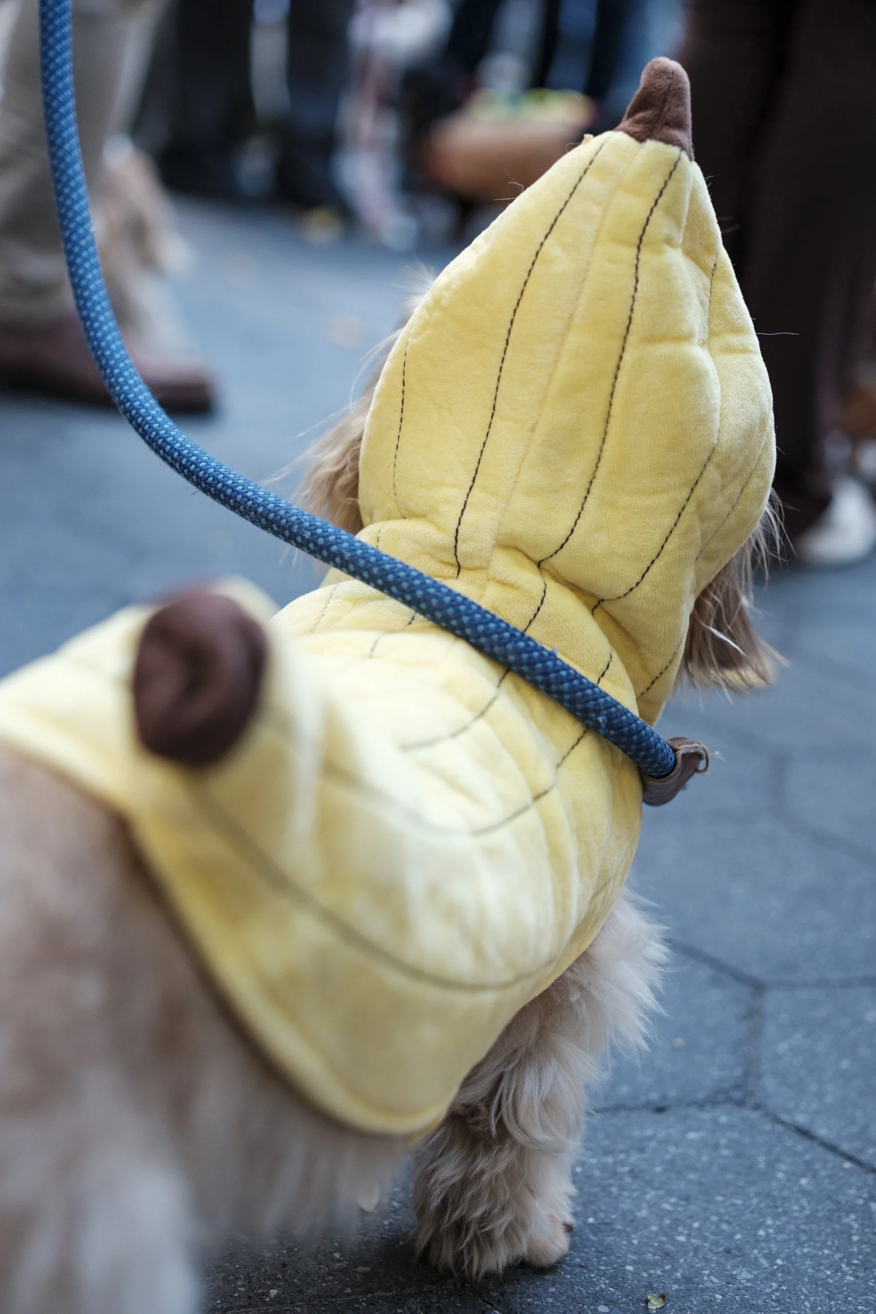 DSCF9907.jpg