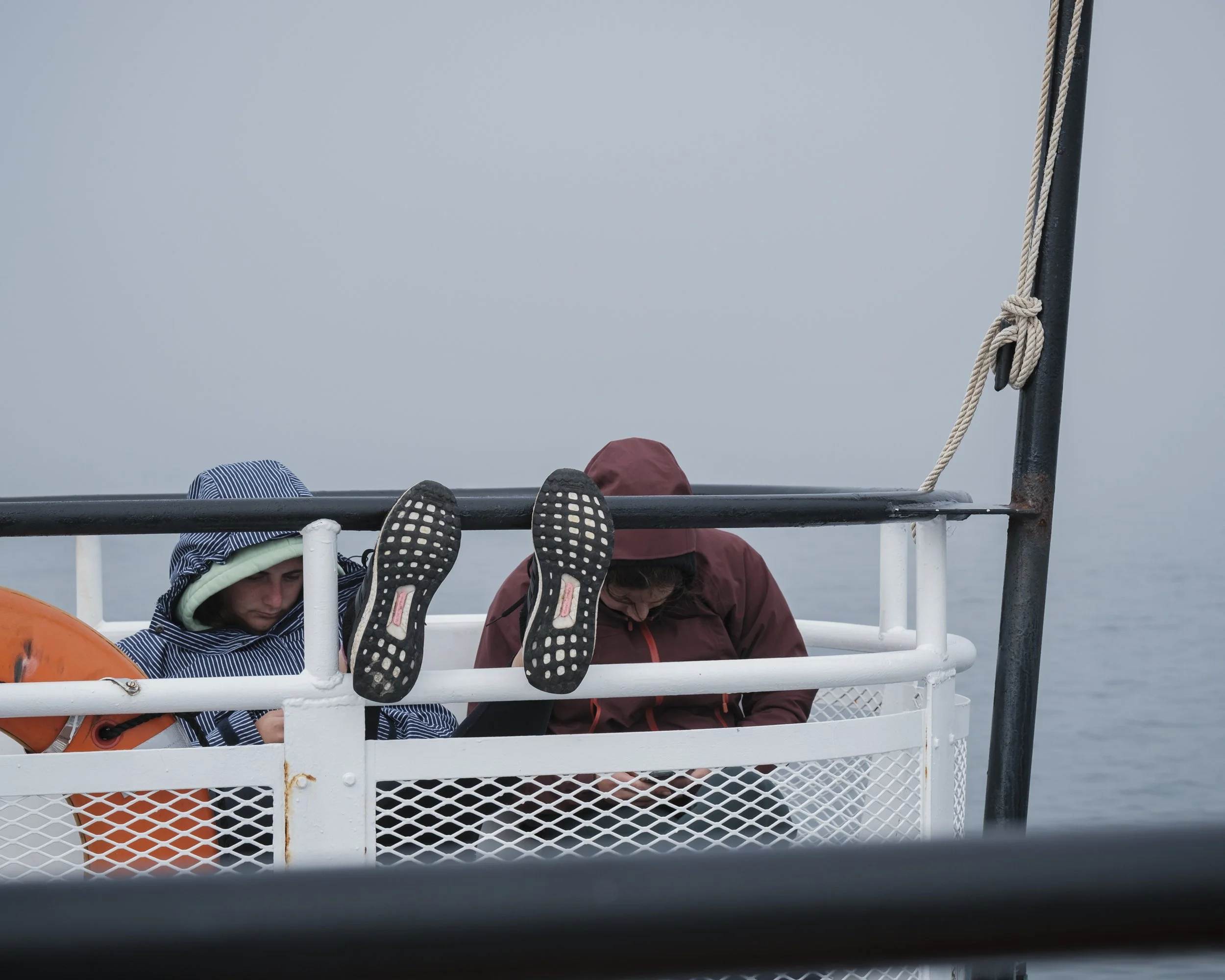 DSCF8415.jpg