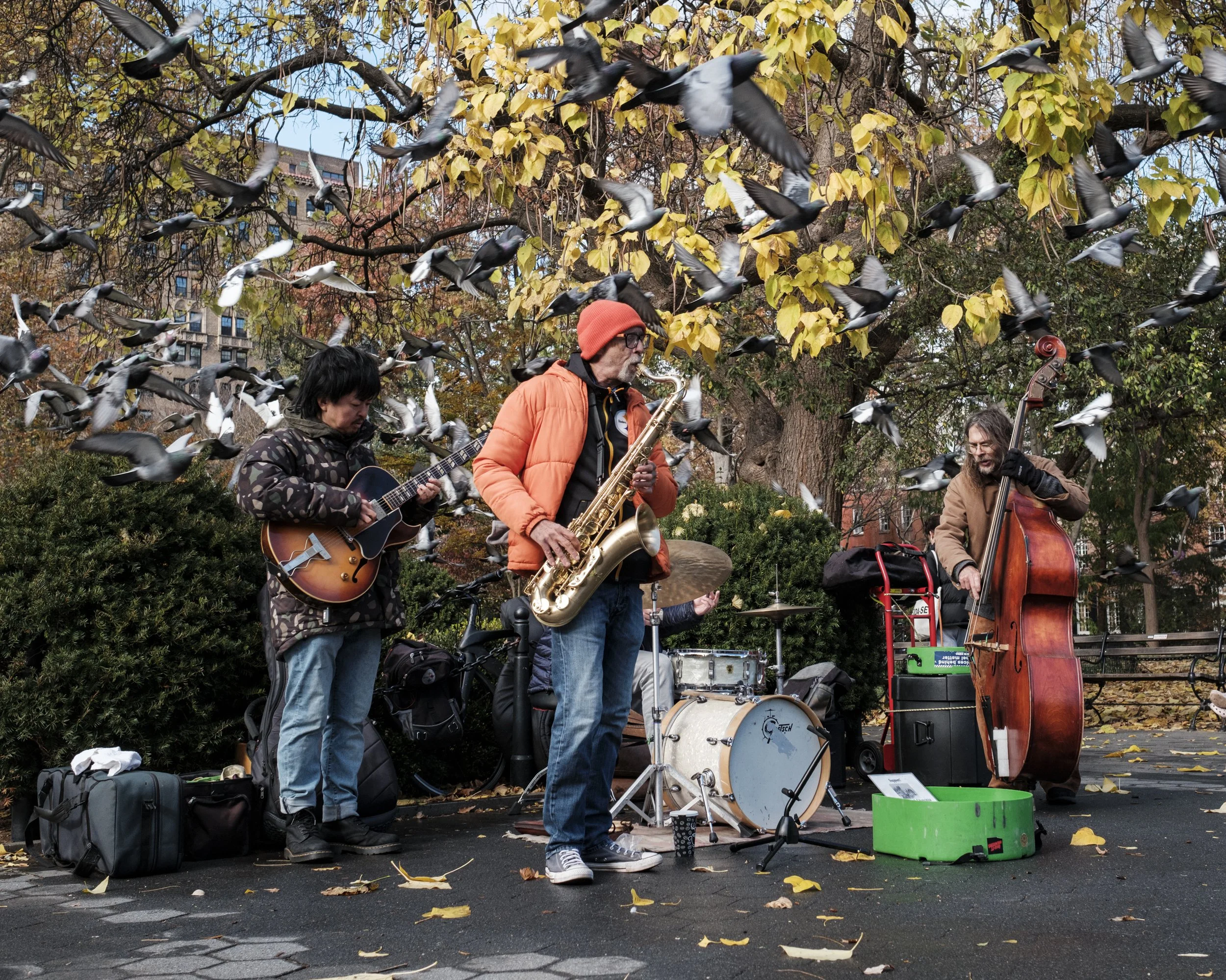 Washington Square Park