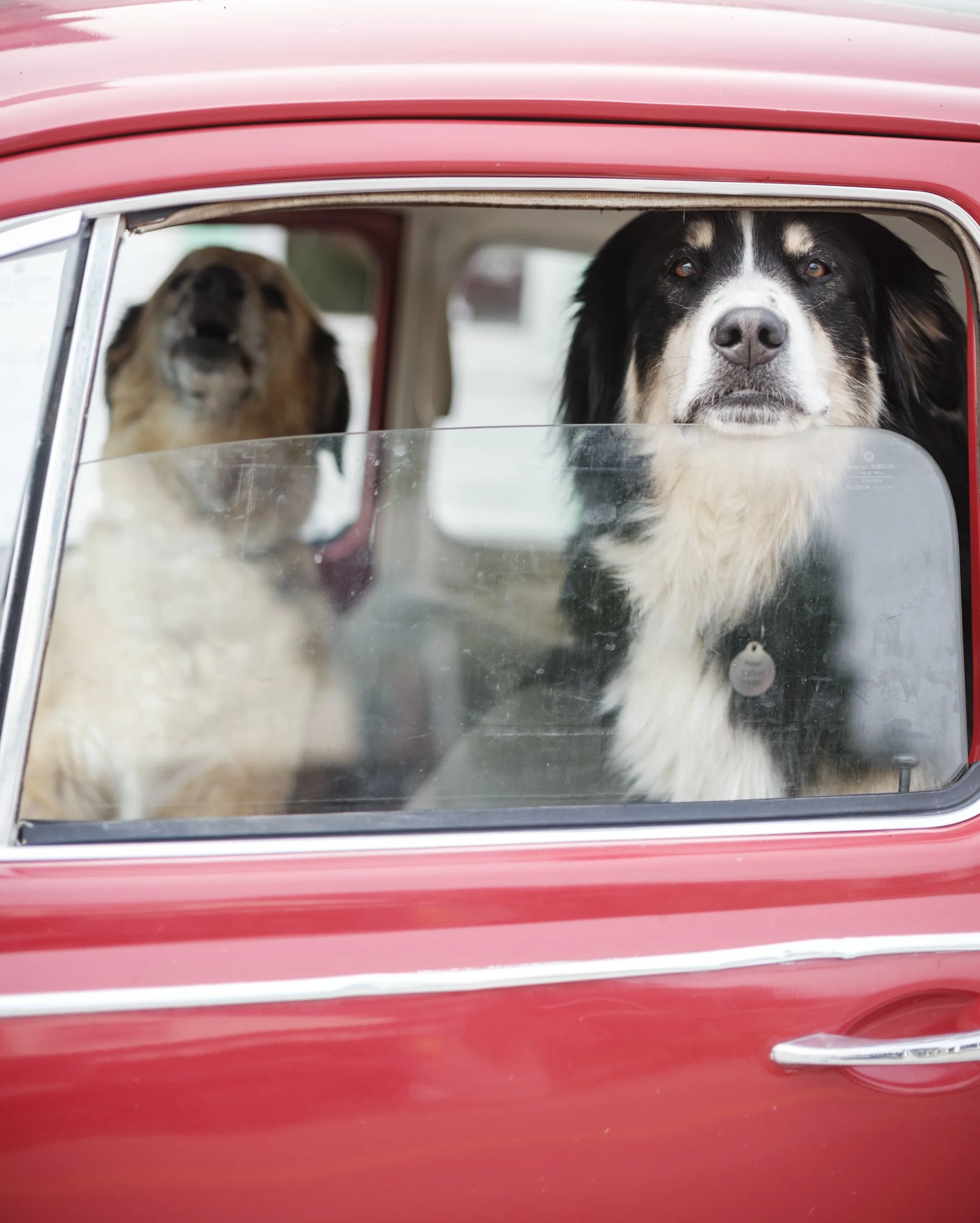 DSCF8401.jpg