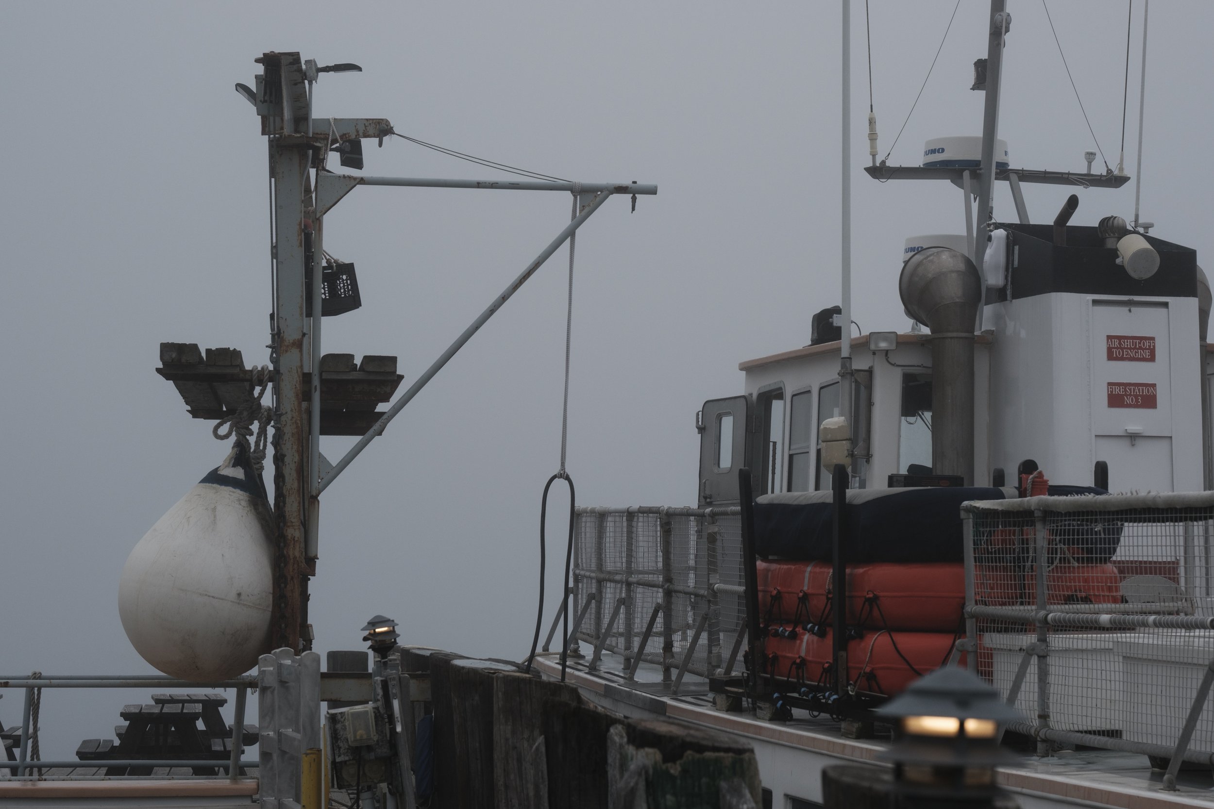 DSCF1649.jpg