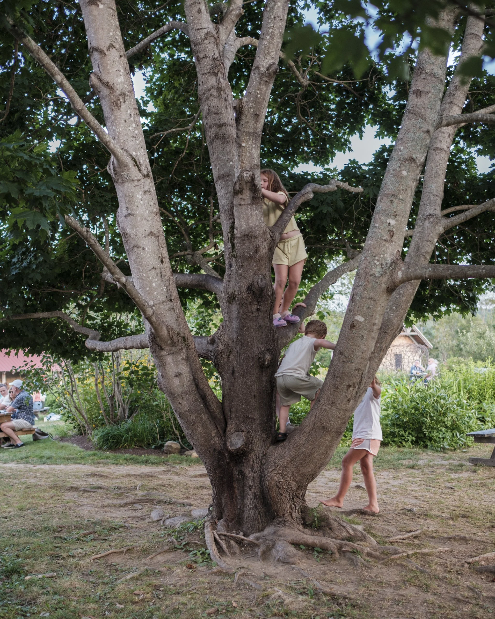 DSCF8988.jpg