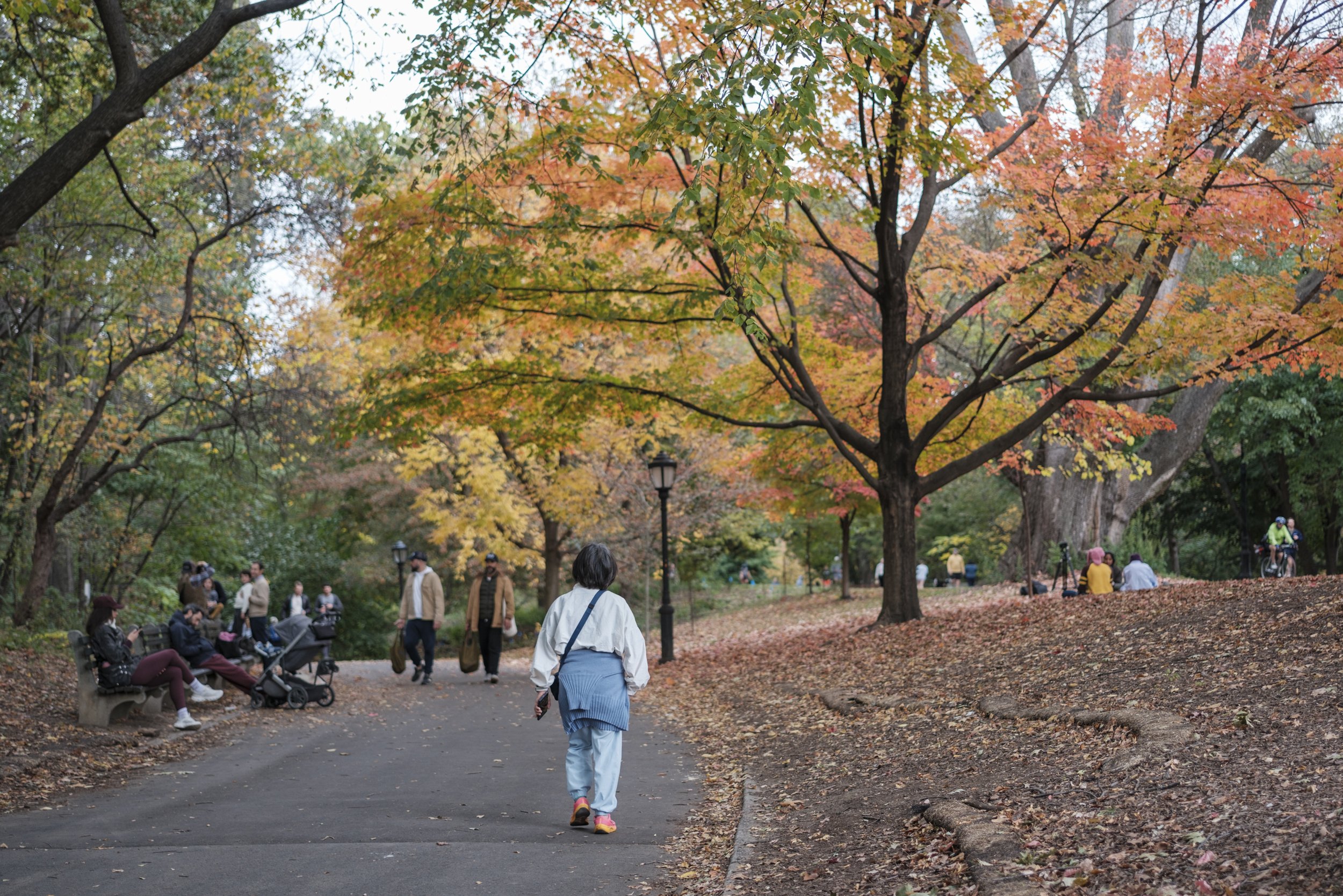 DSCF9850.jpg