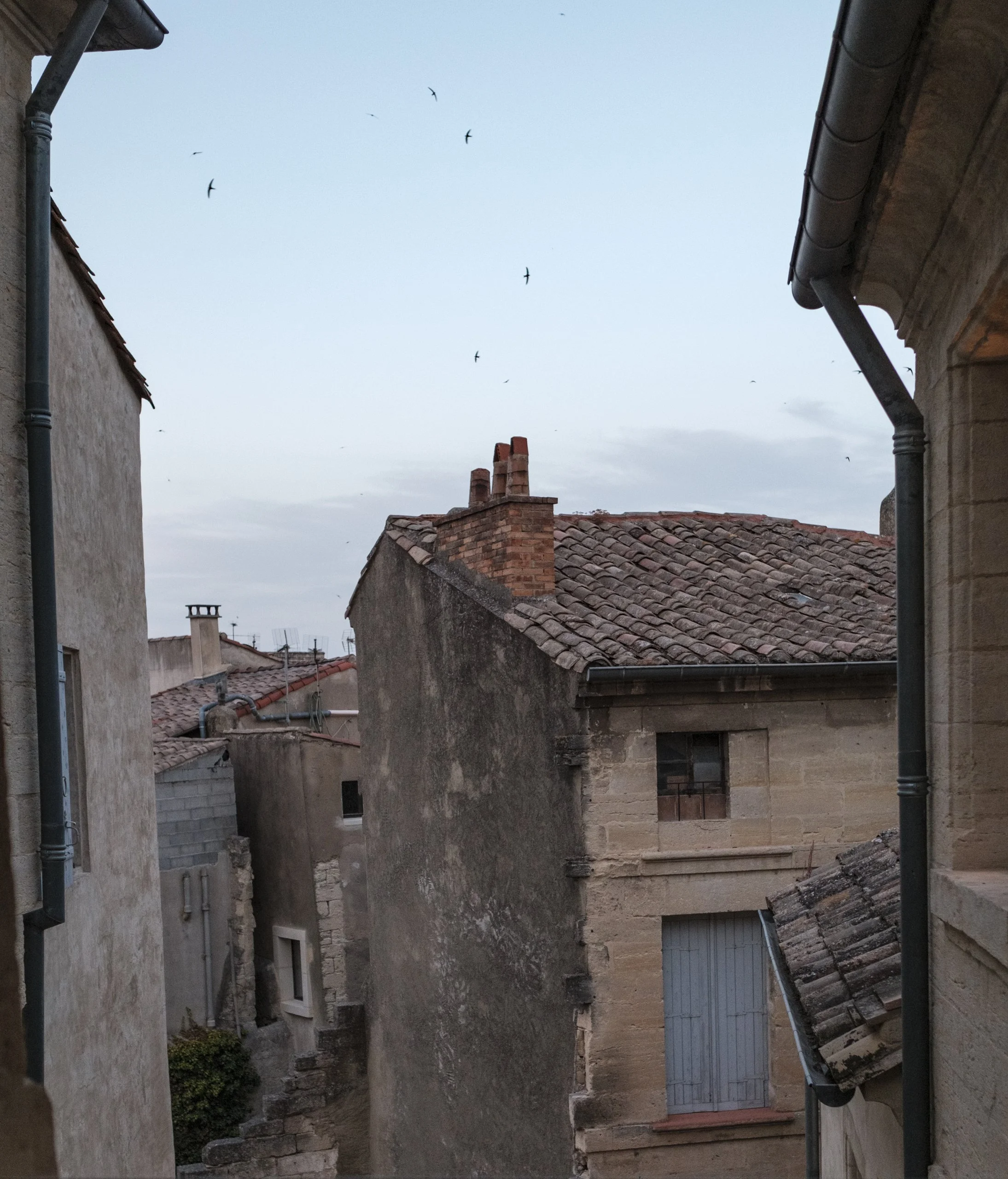DSCF6413.jpg